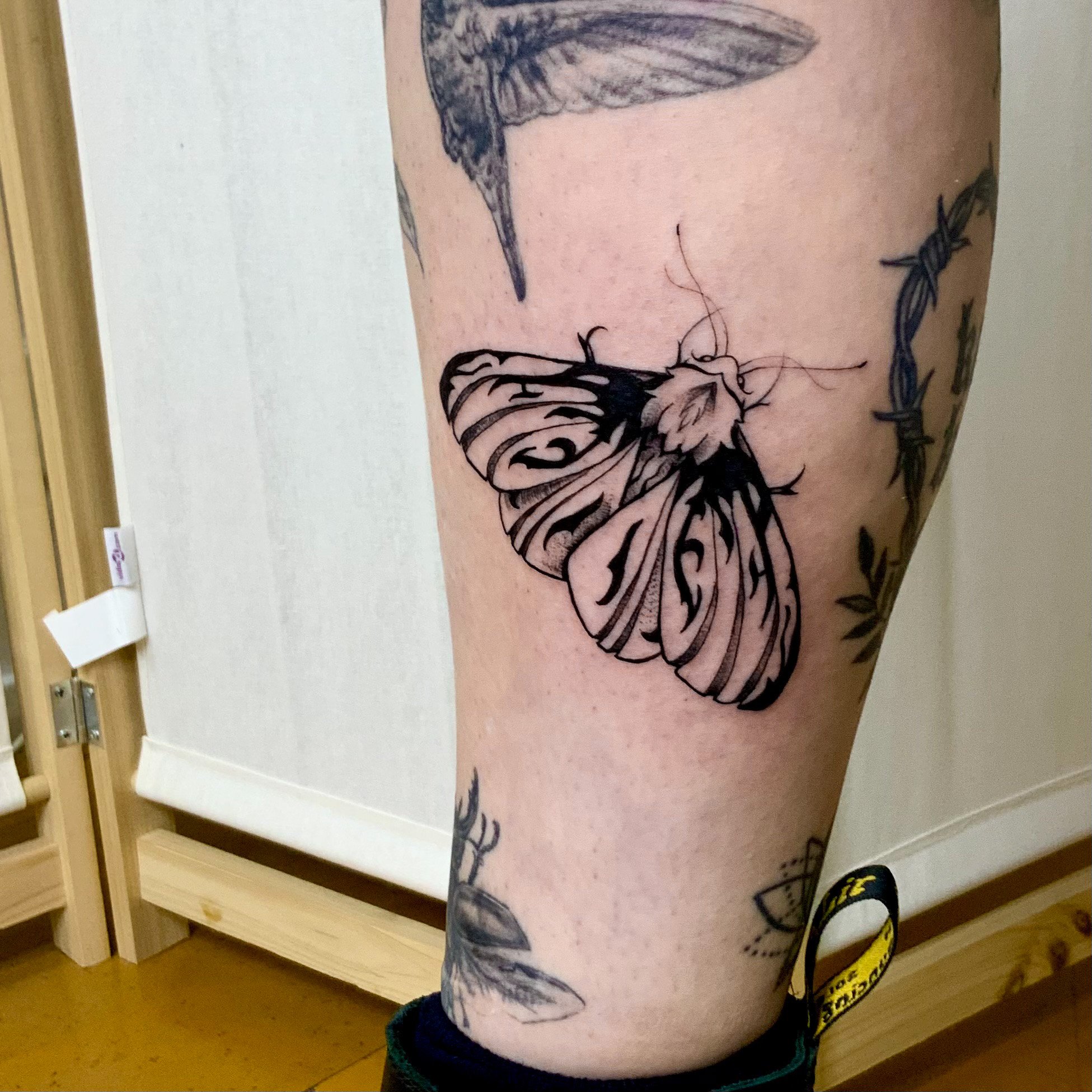Moth tattoo idea