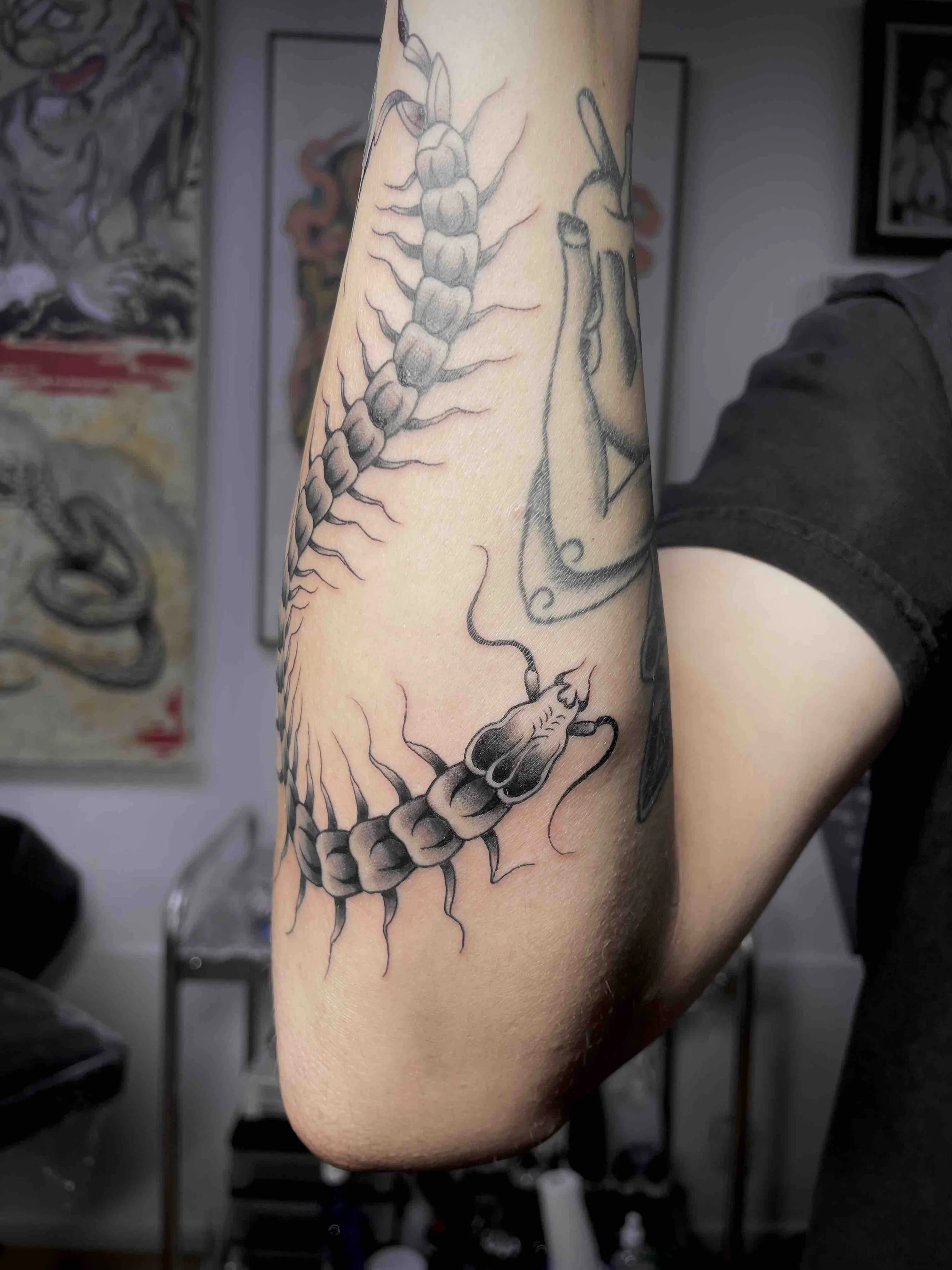 insect-forearm-tattoo-centipede-blackwork.jpeg