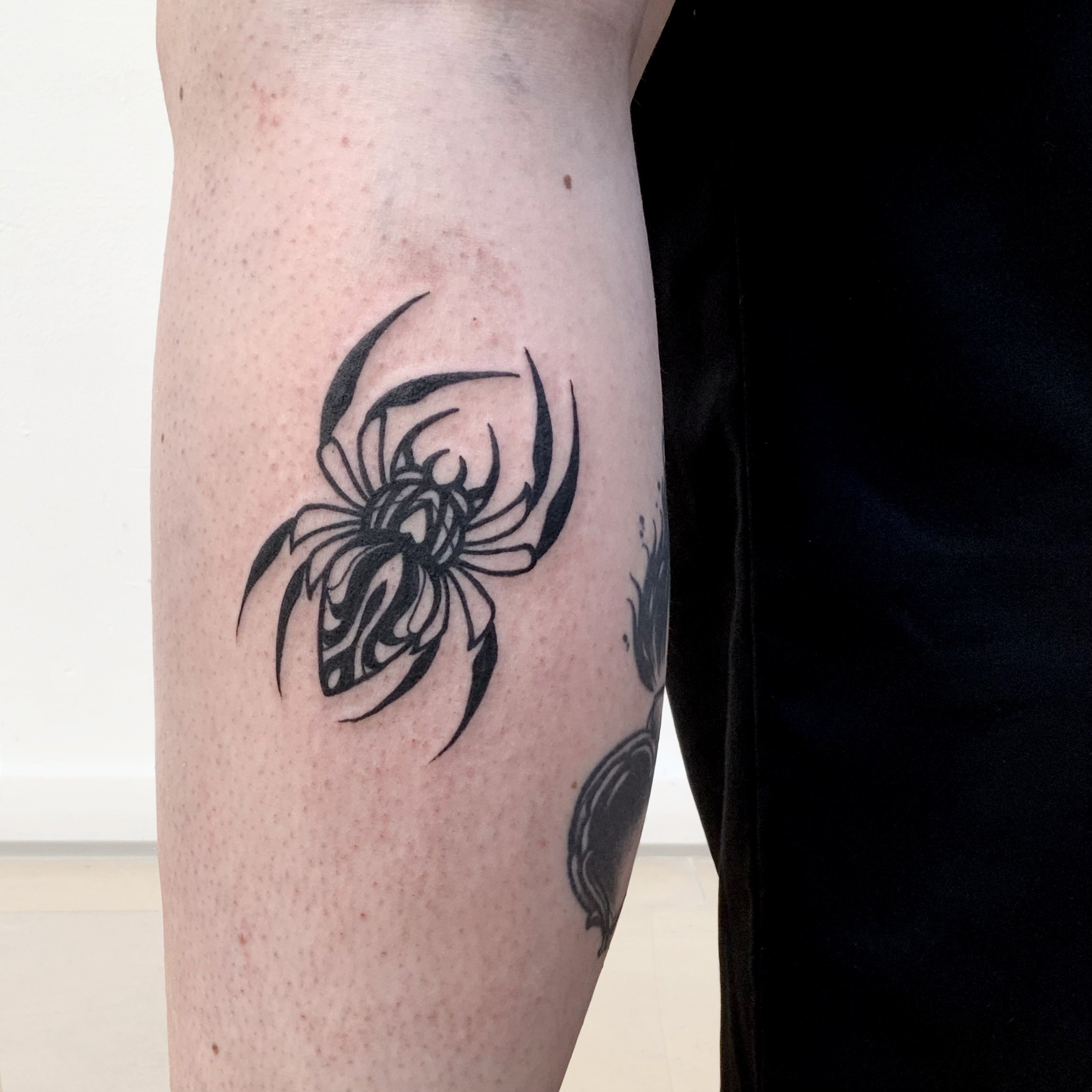 Spider tattoo idea in blackwork tattoo style