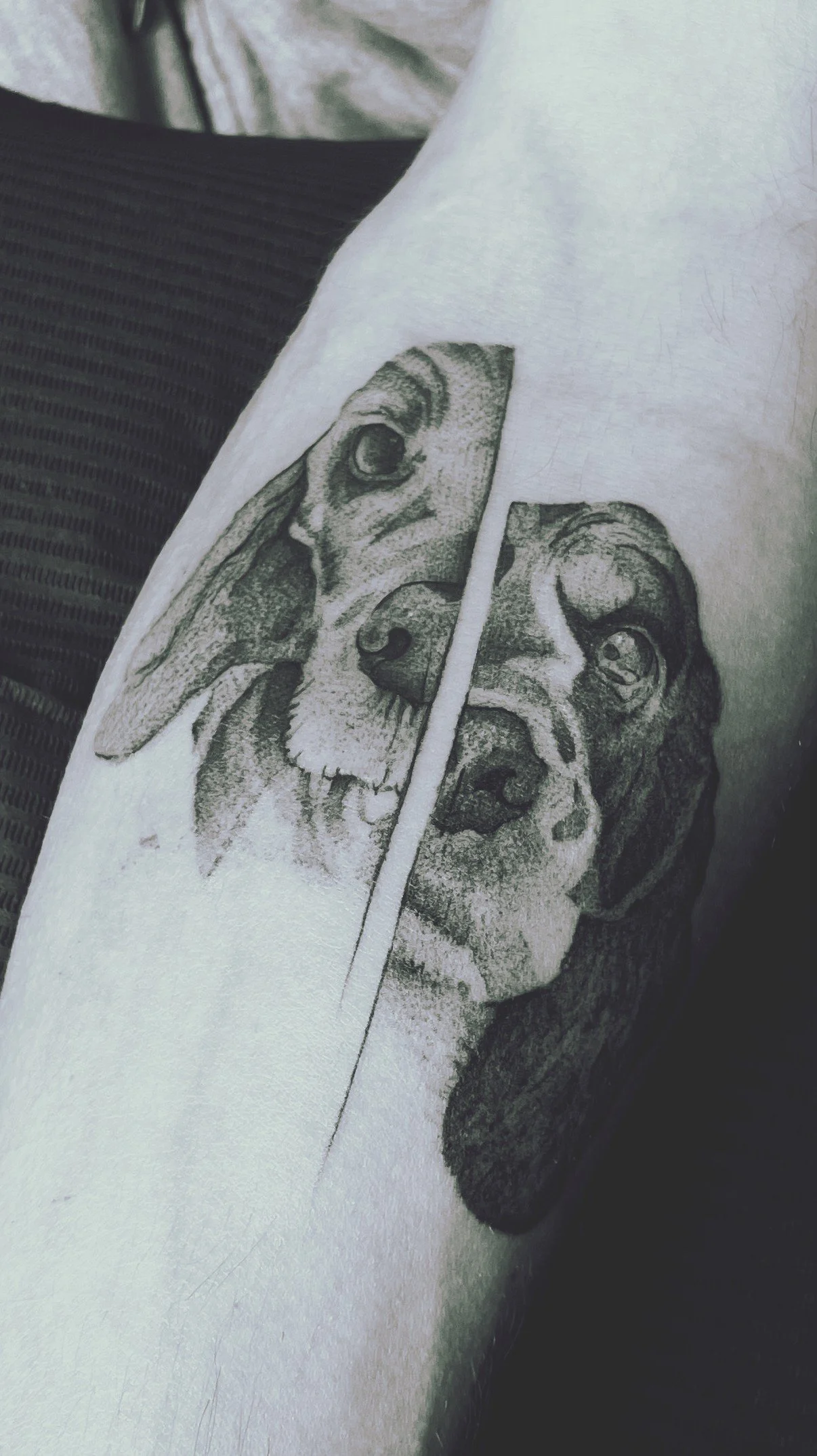 Dog Portrait Tattoo