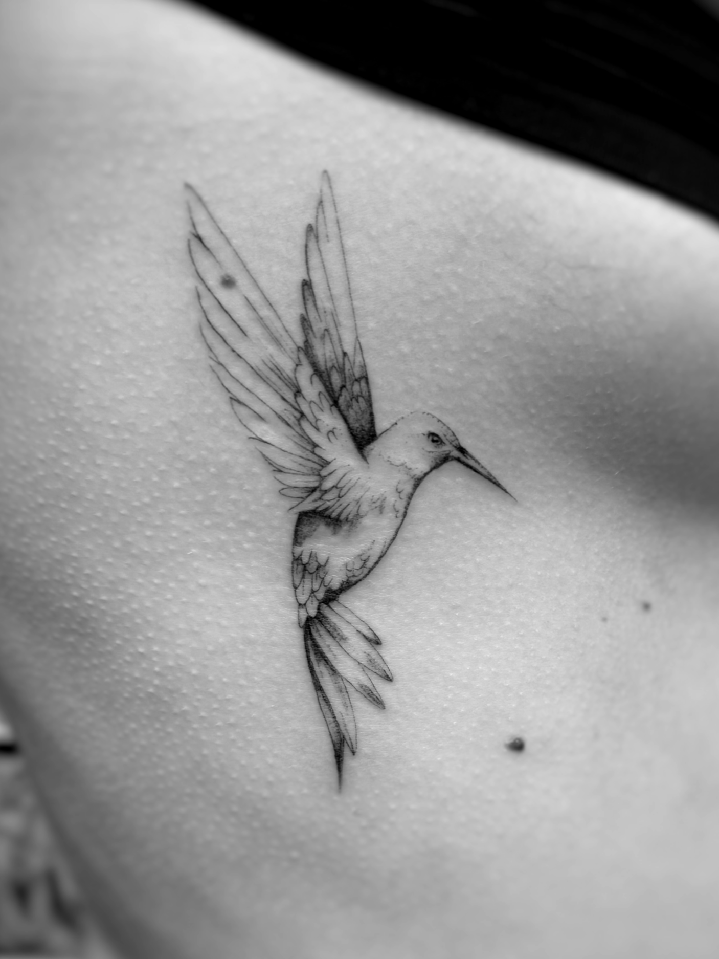 single needle tattoo Amsterdam