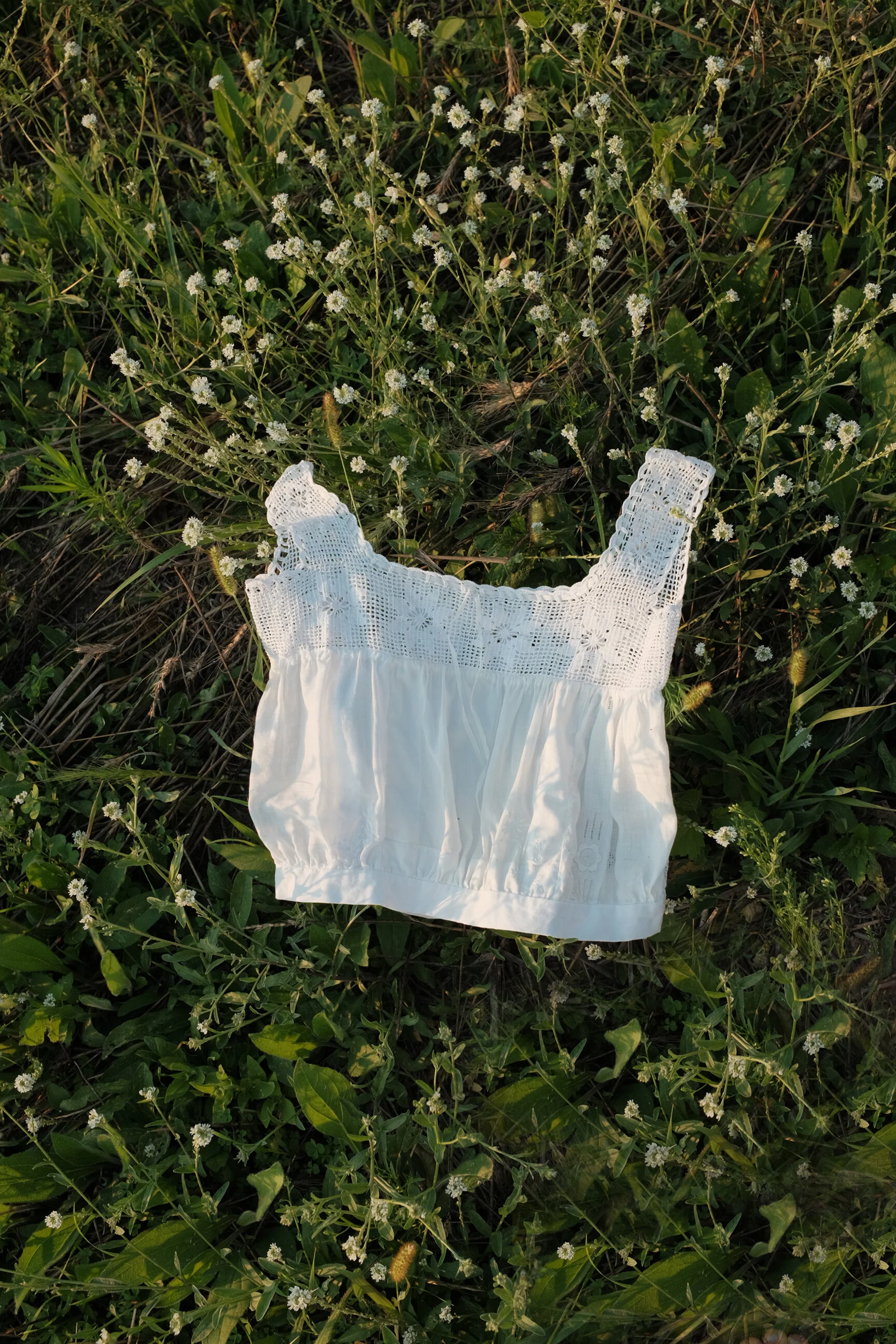 whiteflowers.jpg