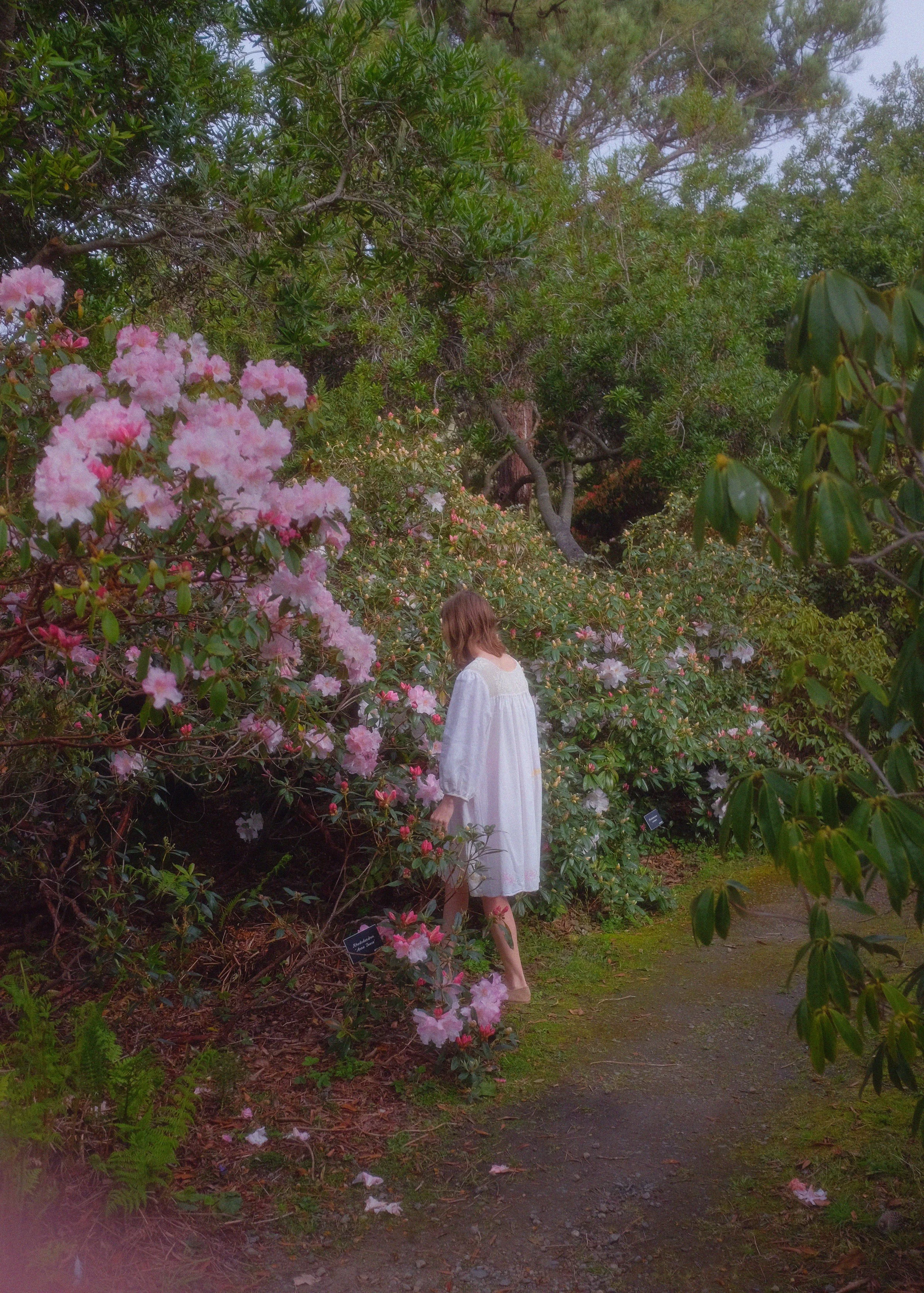 springdress.jpg
