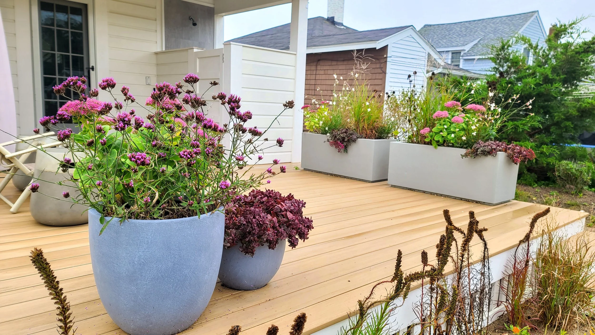 A backyard patio with wooden decking, large potted pink and purple flowers, and a white fence, adjacent to a house with white siding and a small garden area.