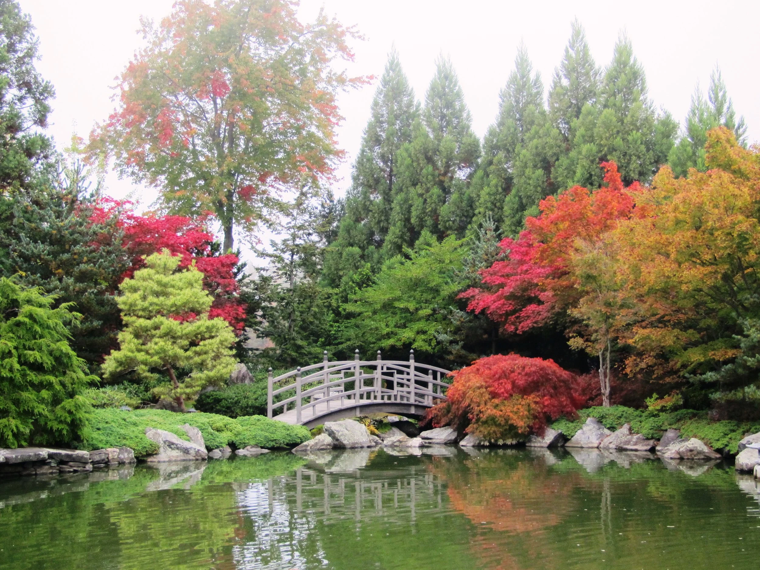 Scenic view of a Japanese-style garden with colorful autumn trees, a white arched bridge over a pond, and rocks along the water's edge.