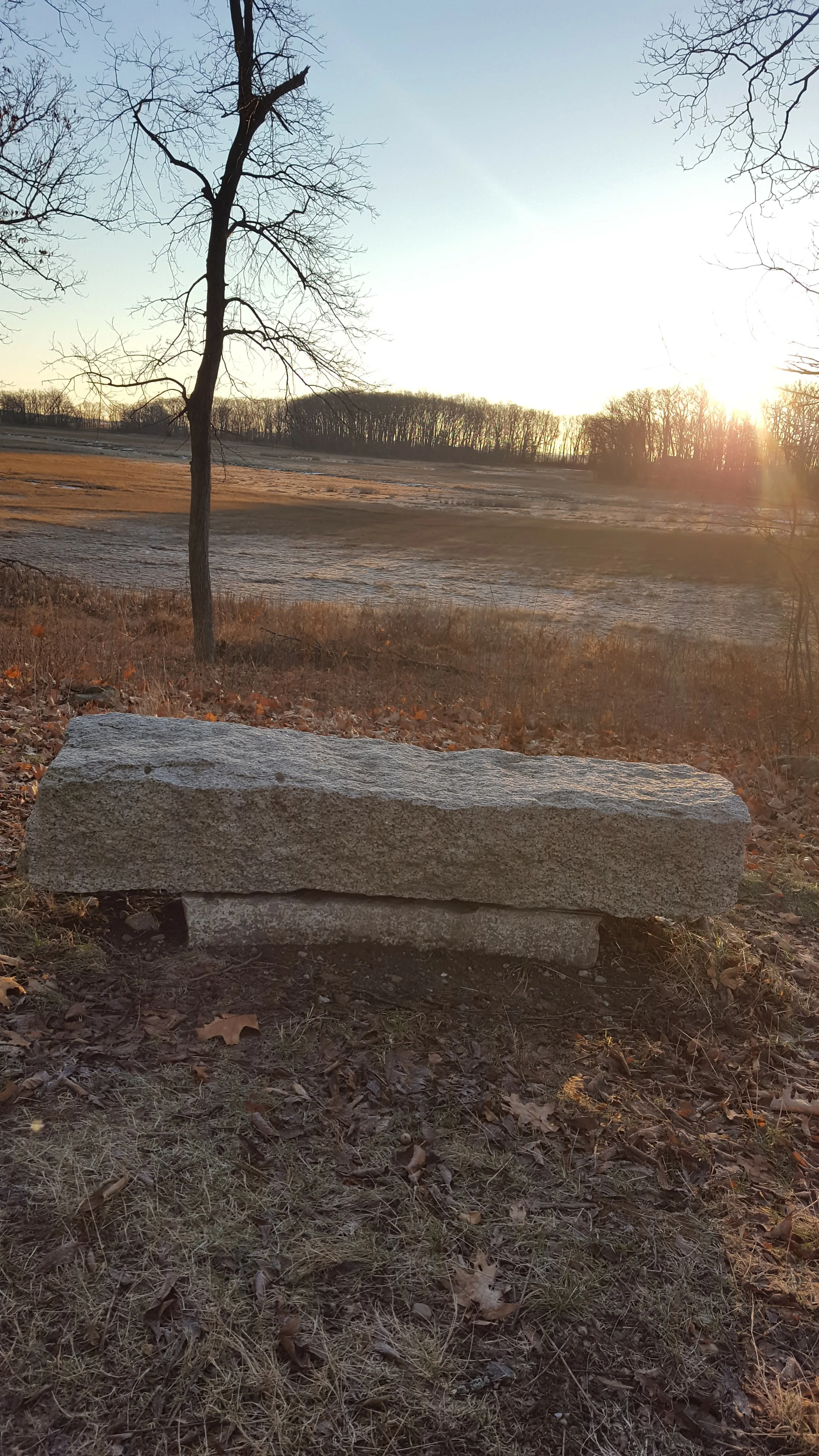 A large stone bench in a nature setting with dry grass and leaf-covered ground in the foreground. A leafless tree stands nearby, with a wide open field and a line of trees in the background. The sun is setting on the horizon, casting a warm glow.