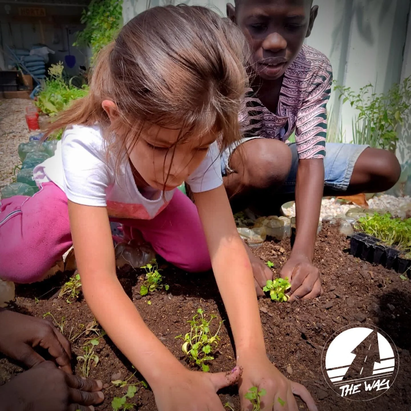 Ao ensinar a crian&ccedil;a a cuidar de uma horta, ela aprende a respeitar o meio ambiente, tudo que vive nele e a entender que tudo tem o tempo certo para crescer.
.
.
.
.

#godisgood #deuseamor #voluntariado #futebol #amor #fazercomamor #bem #favel