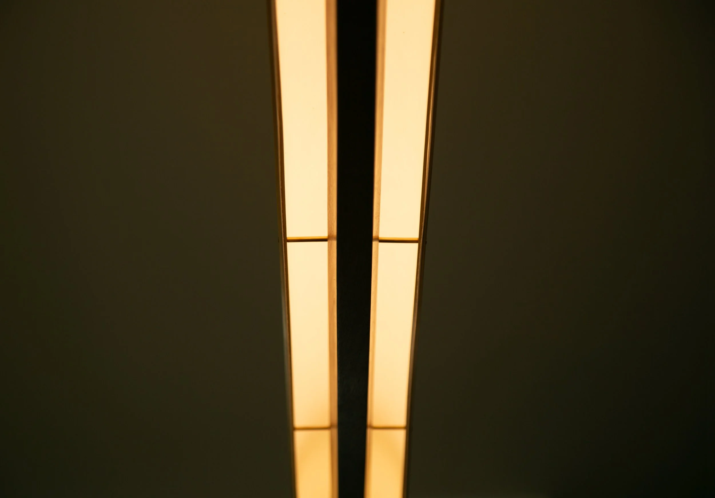 562A8341.jpg