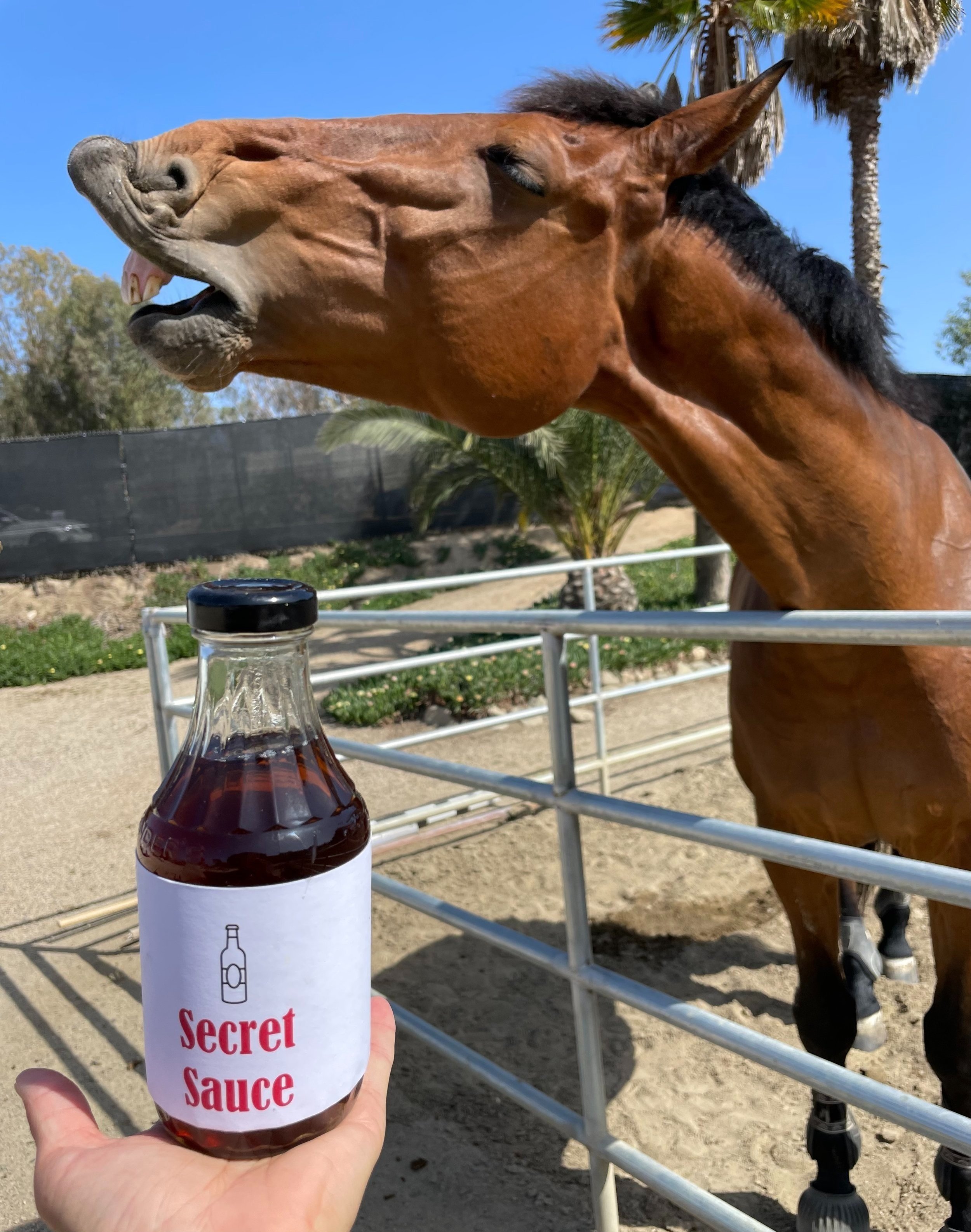 Secret Sauce