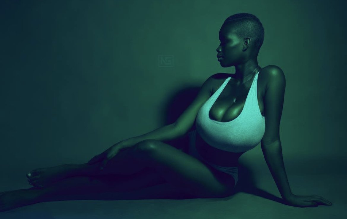 A Captivating Curves Silhouette by Pamela Watara