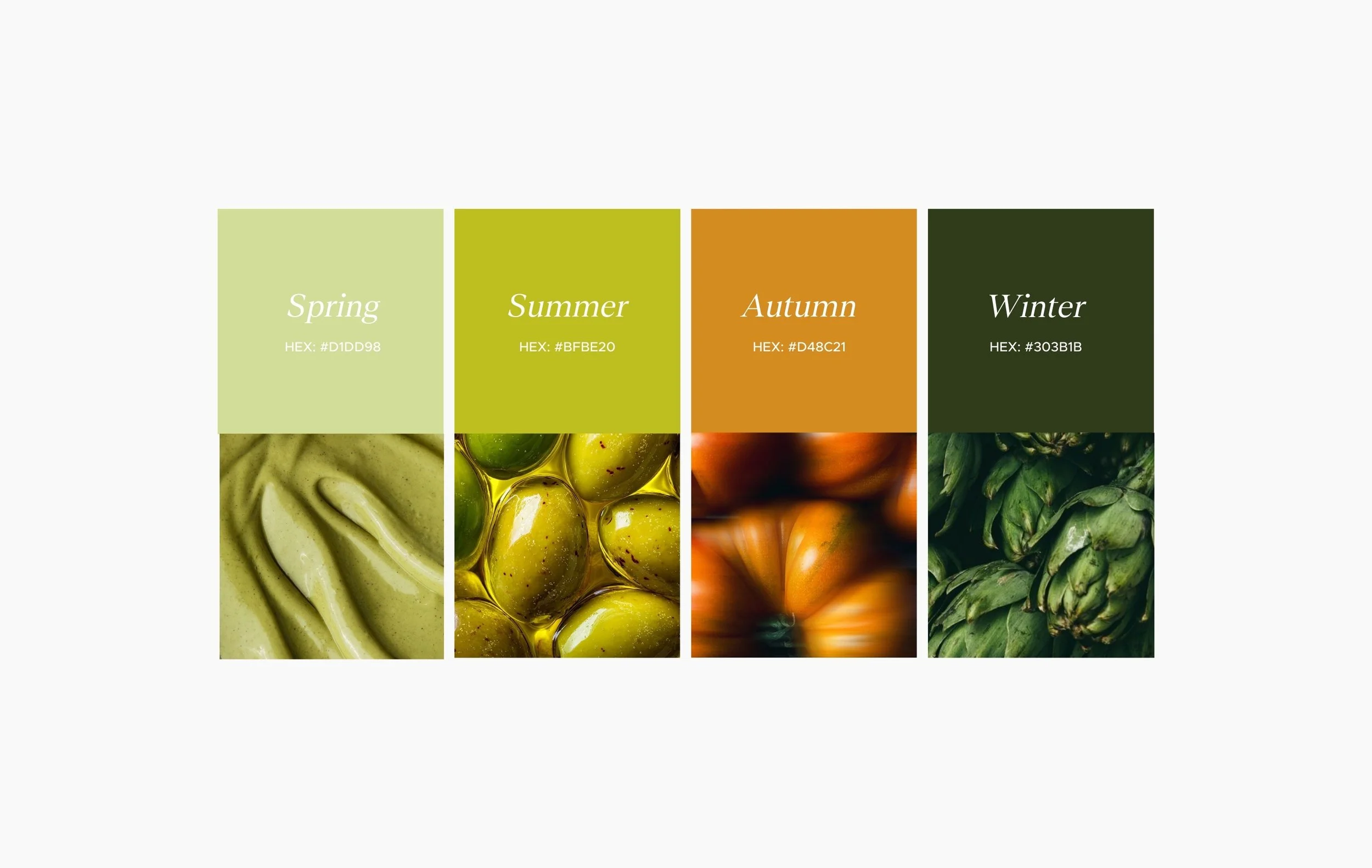 Theo Randall Brand Colour Palette