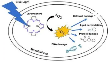 Source: Antimicrobial blue light: A ‘Magic Bullet’ for the 21st century and beyond?Science Direct | Advanced Drug Delivery Reviews | Volume 180, January 2022, 114057