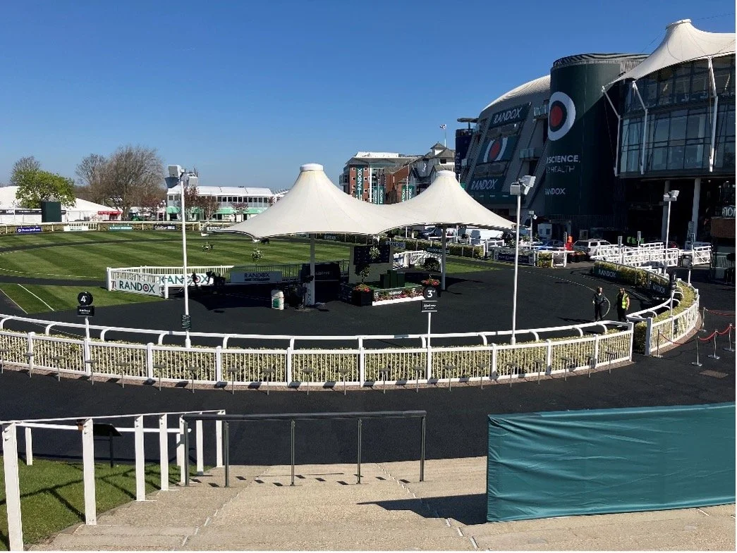 They’re Off! Our Day at the Races (without the horses)