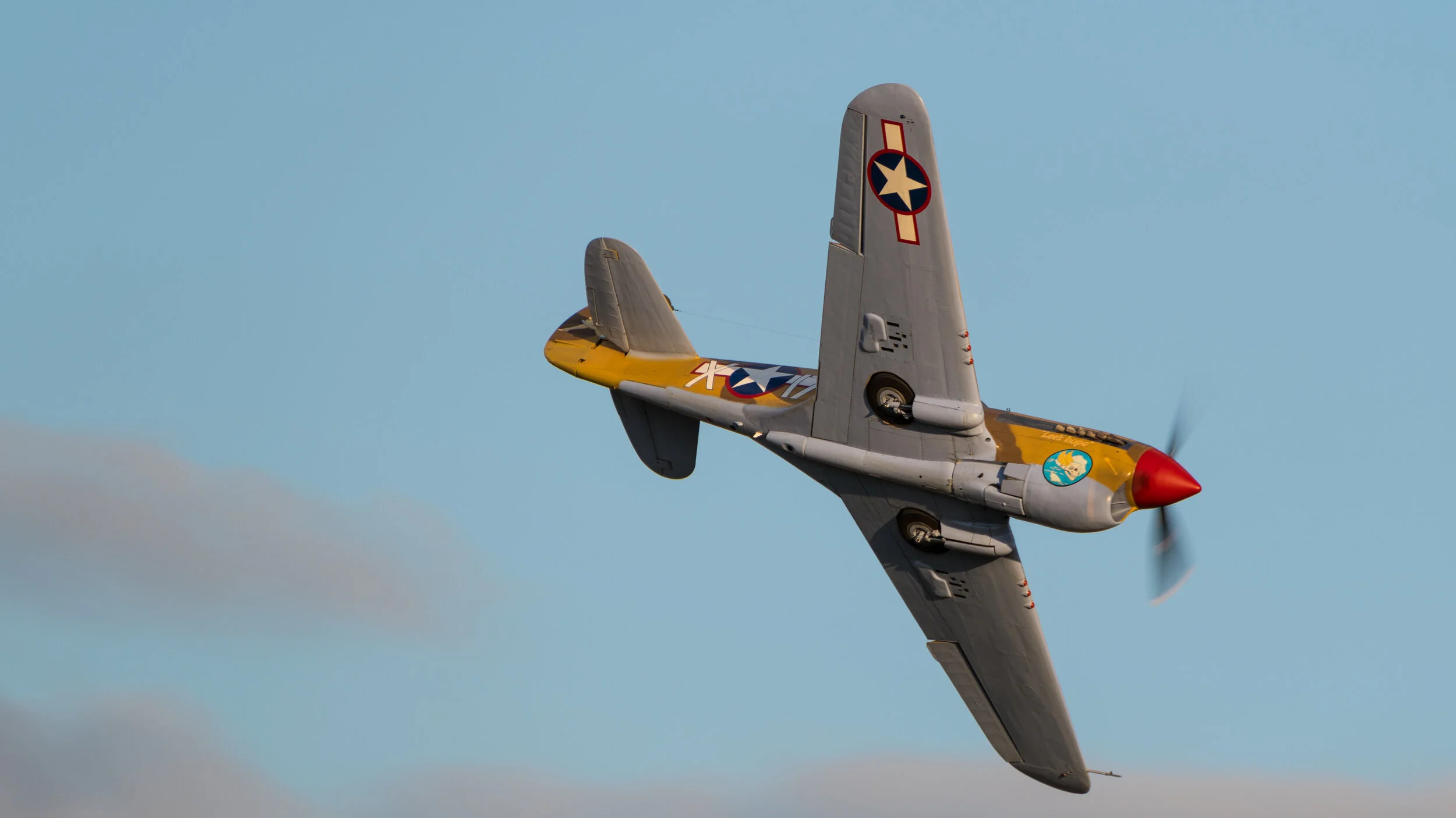 DSC_1460.jpg
