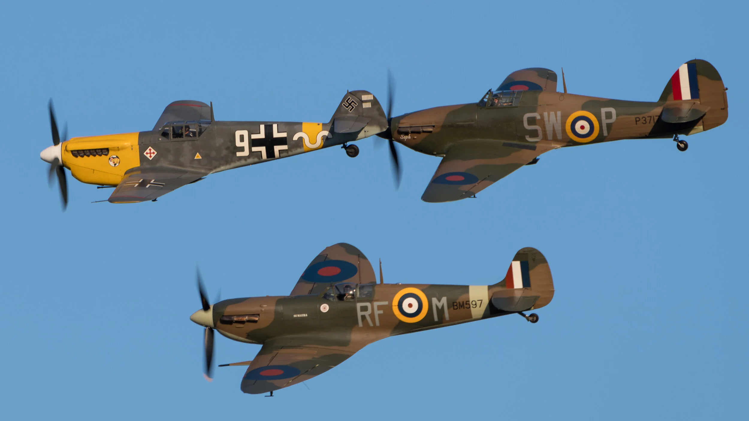 DSC_1515.jpg