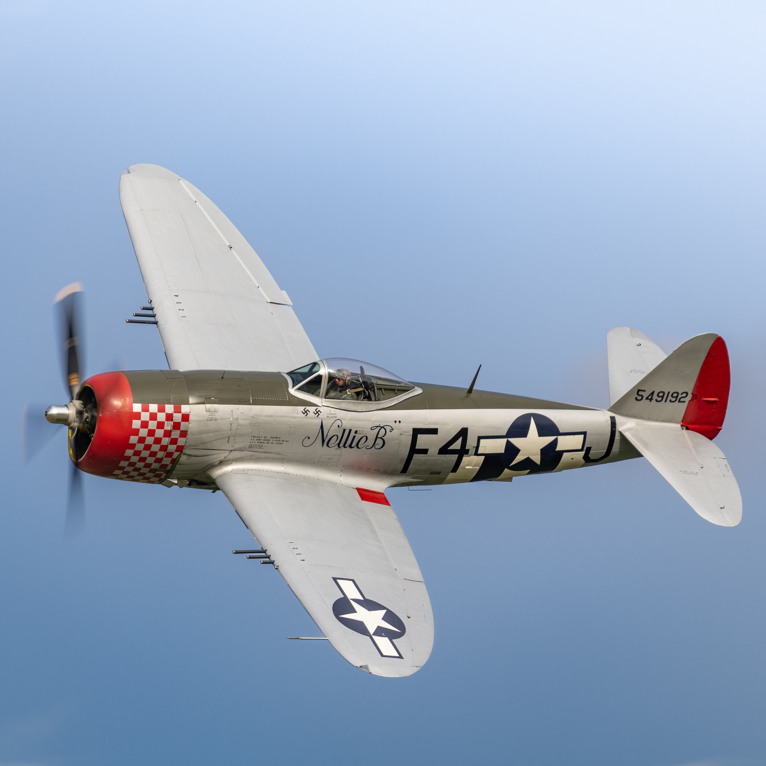 851_9839.jpg