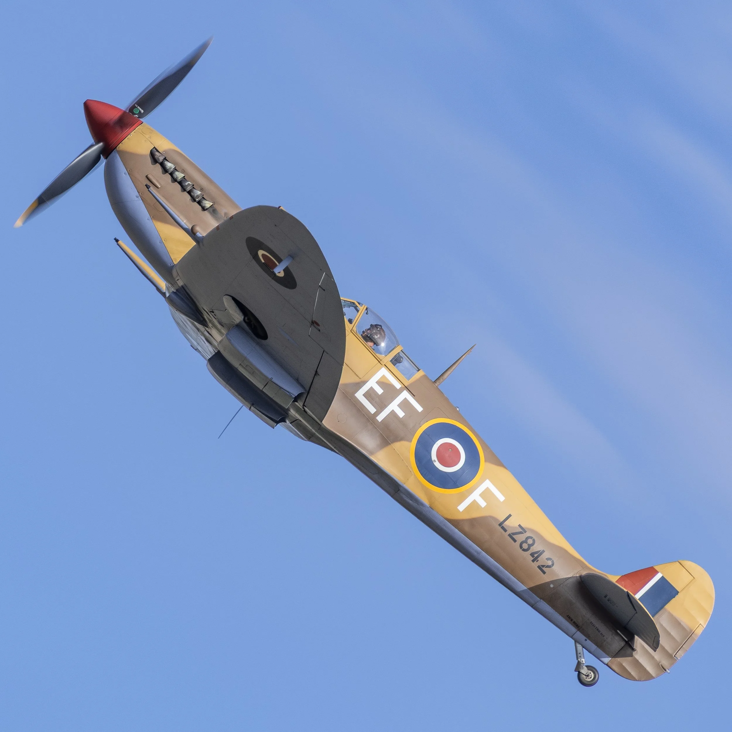 851_6825.jpg