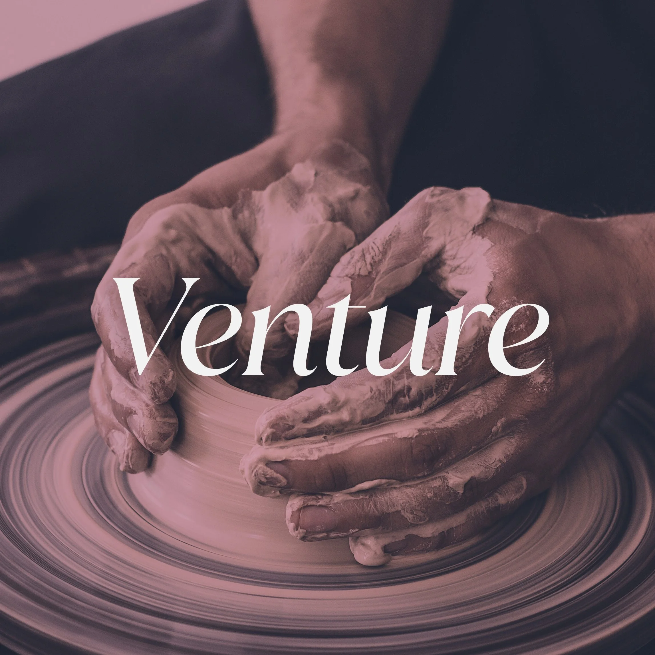 Venture