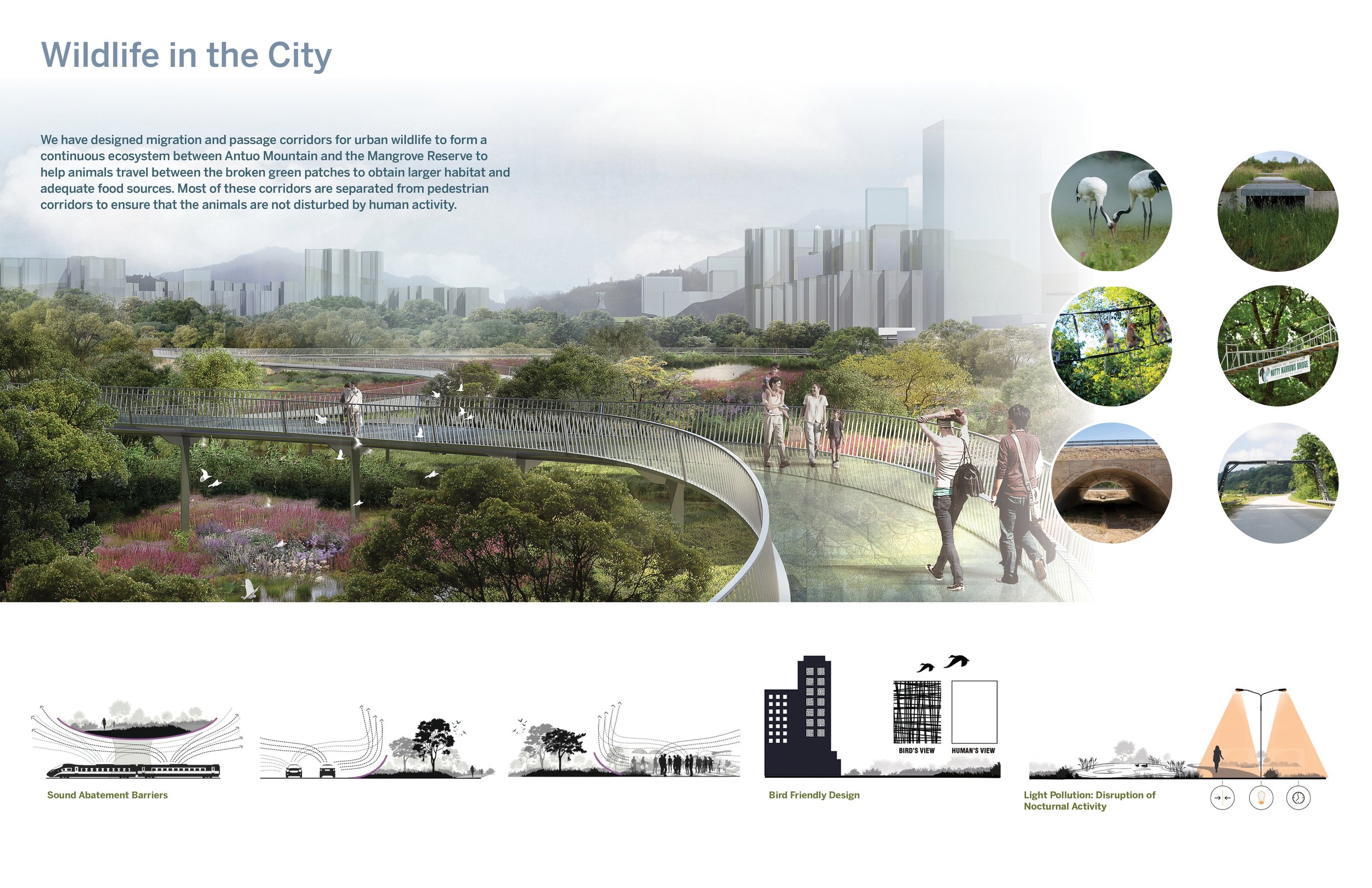 Mangrove Museum and Mountain to Bay Ecological Corridor — BSLA