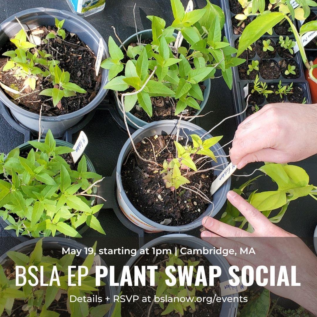 Calling all plant lovers! Back by popular demand + to celebrate the end of the academic year, the BSLA Emerging Professionals are hosting a spring plant swap.

Sunday, May 19
1-4pm 
outside of STIMSON's Cambridge office 

🌿Get tickets at https://202
