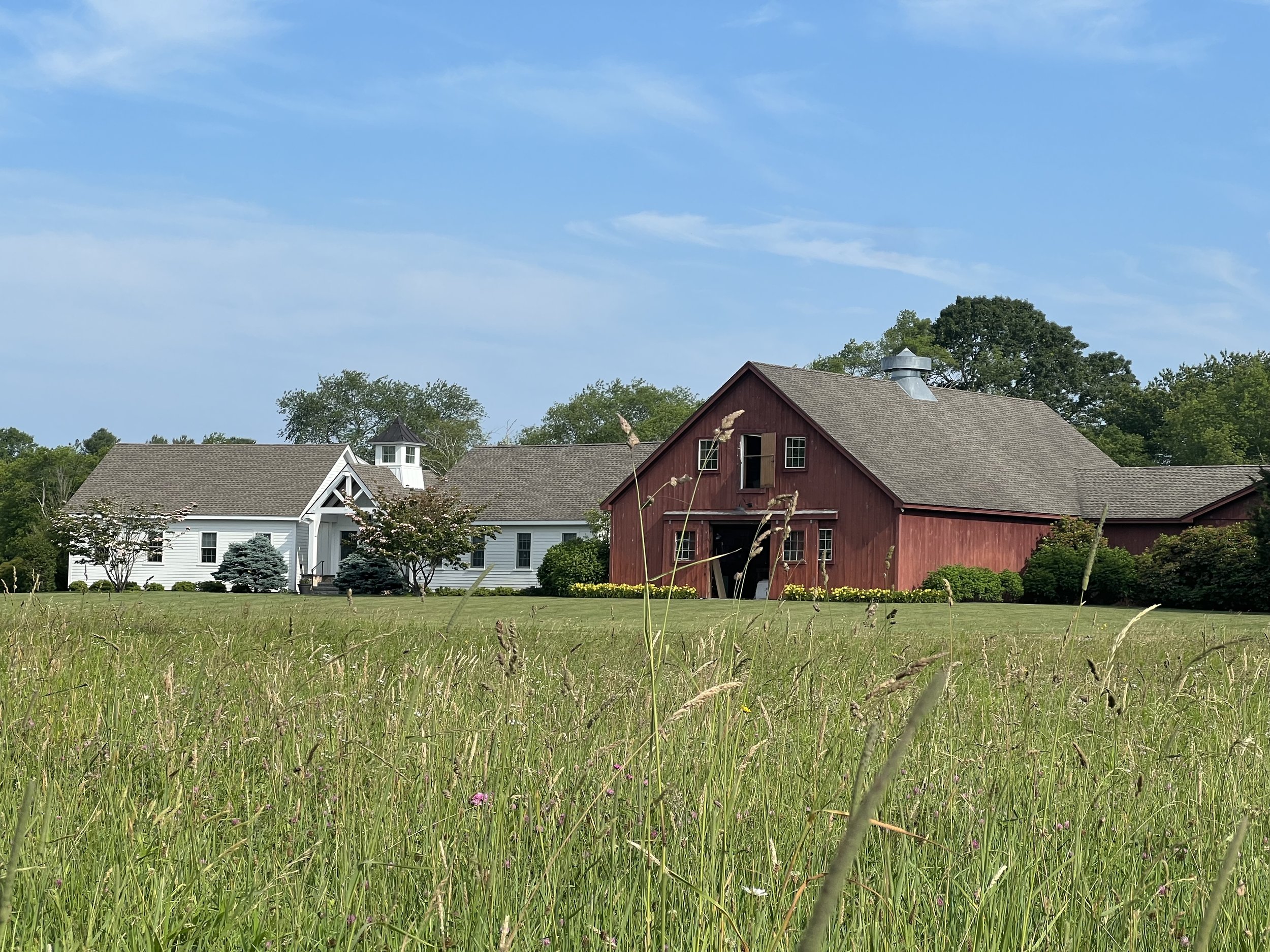 Open Studio: Landscape Creations