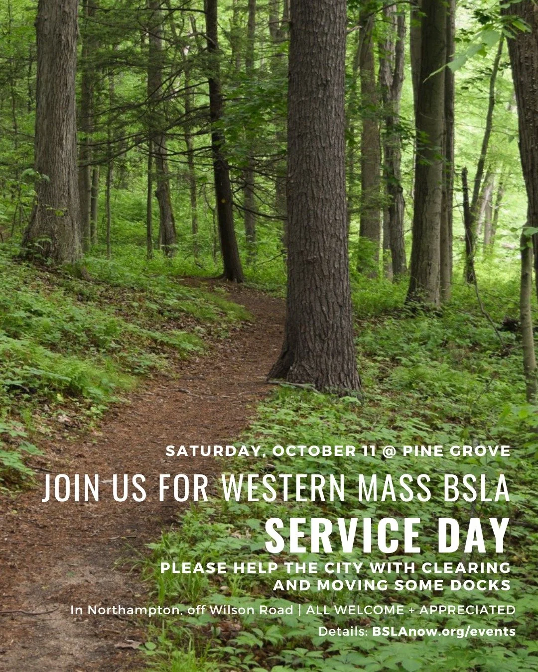 Landscape architects + designers + students + friends:

Please join us at Pine Grove this Saturday (10/11) in Northampton off Wilson Road. We will be helping the city do some clearing and moving some docks. We will be meeting at 10am and plan on bein
