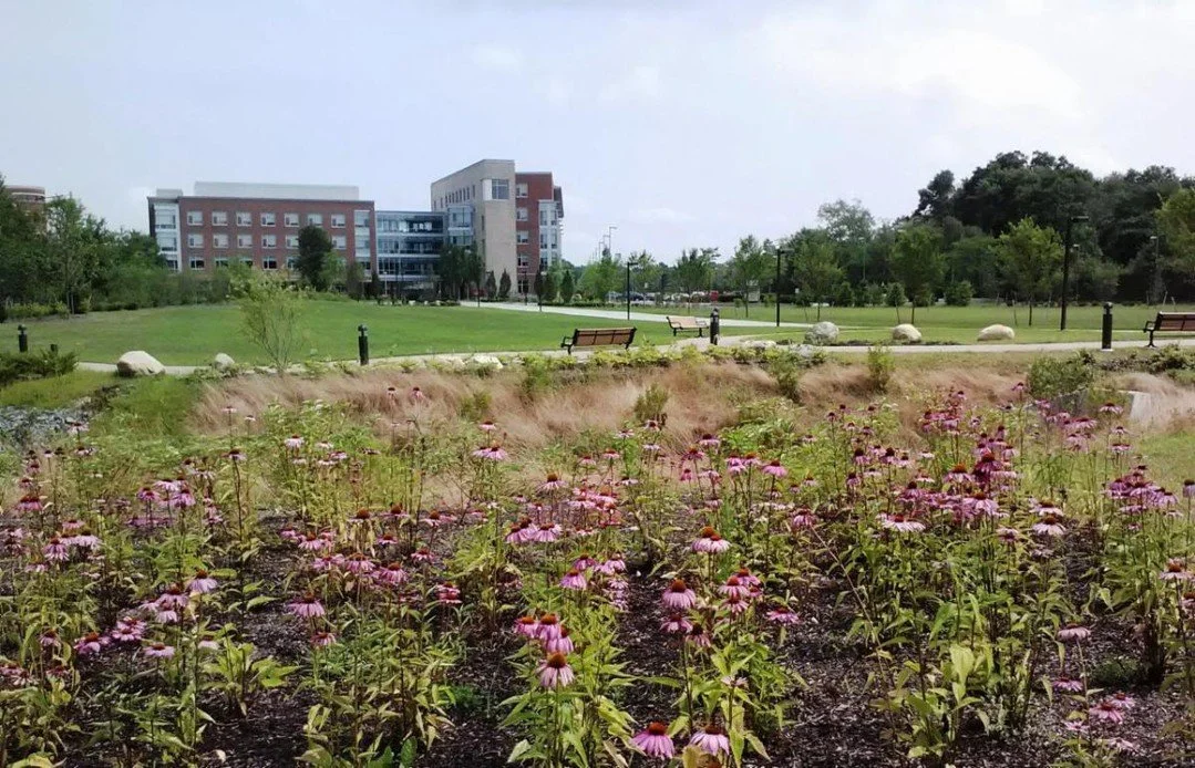 We are pleased to feature Highpoint in today&rsquo;s BSLA Opportunities spotlight.

Highpoint is a multi-disciplinary Land Development consulting firm based in Dedham, MA.

They currently seek a Landscape Designer/Architect, with 0-3 years experience