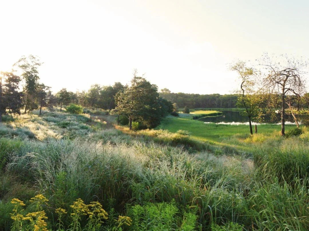 We are pleased to feature Wilkinson Ecological Design (WED) in today’s BSLA Opportunities spotlight.
Wilkinson Ecological Design (WED) is a New England-based team of experts whose mission is to restore the integrity and biodiversity of the uni