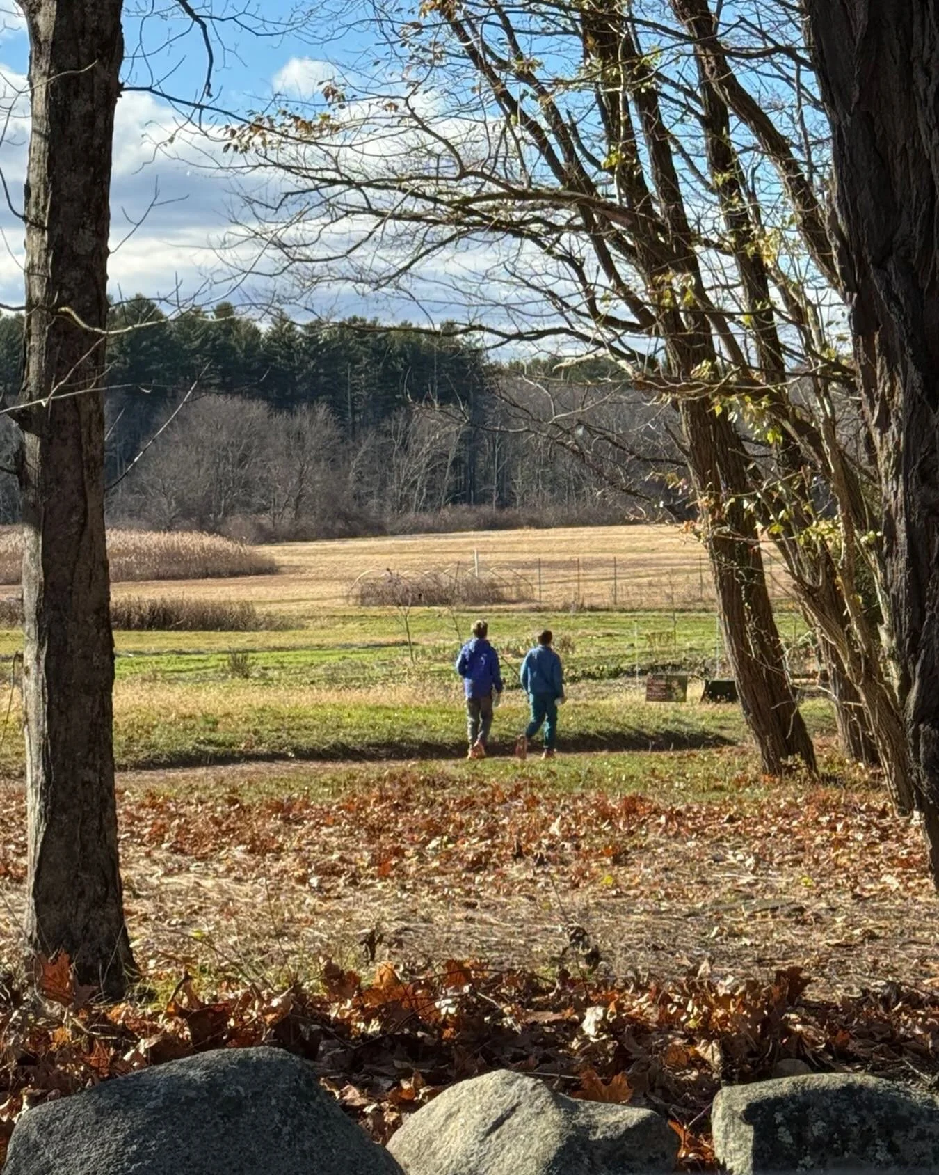 However you recognize this holiday, may you find moments of rejuvenation, connection and joy, and time in a favorite  landscape. 

💚

#HappyThanksgiving