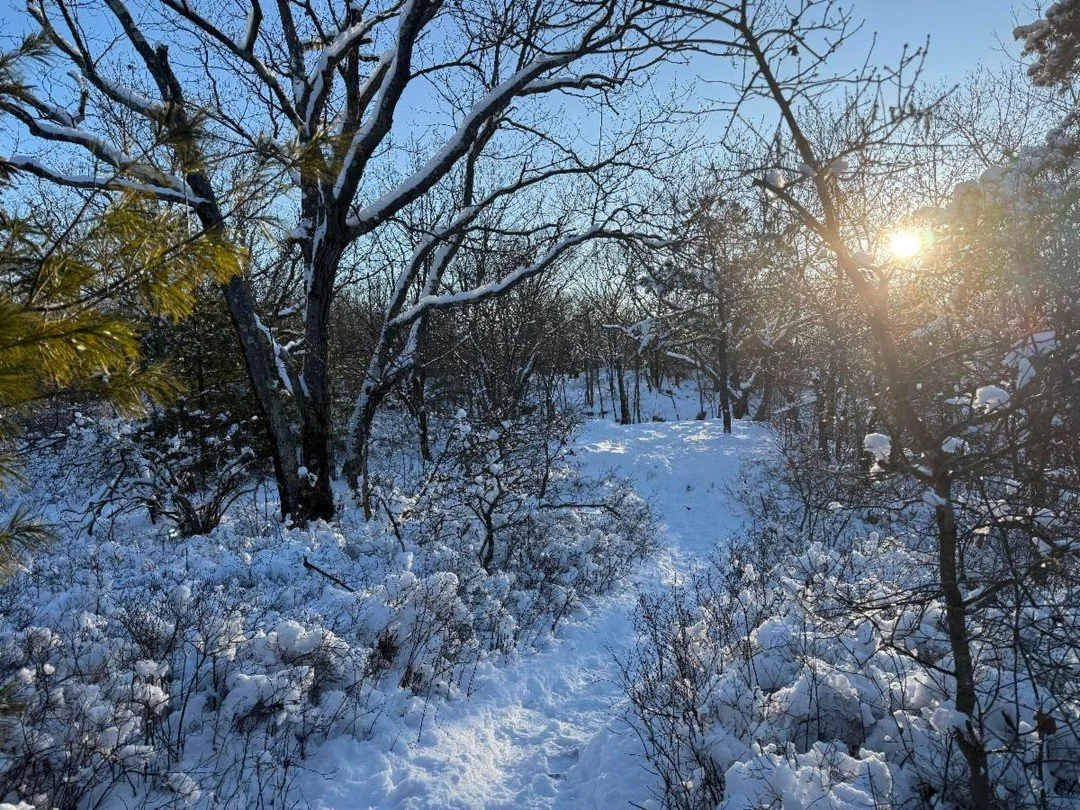 Dear BSLA community,

January always invites refresh and refocus...

BSLA is by landscape architects, for landscape architects, and all week we'll be highlighting ways to connect as we ground ourselves in this new year.

YOU are why we are here, so w