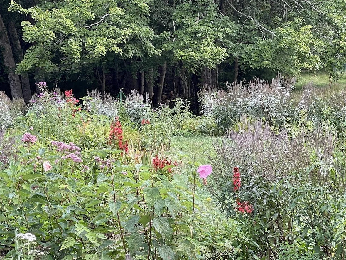 BSLA Plant Sourcing Task Force with Presentation by Marie Chieppo