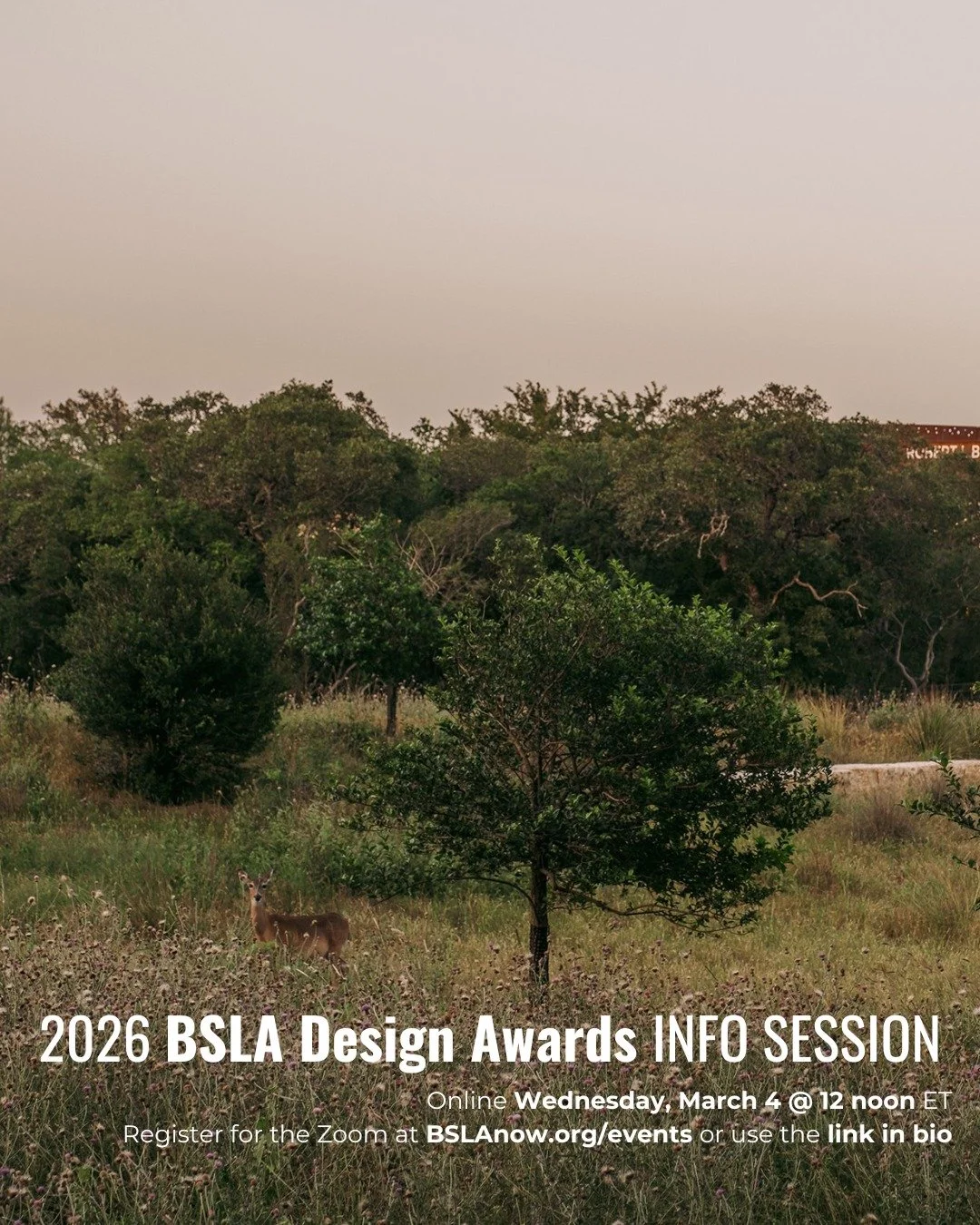 Got questions? Ask away! Happening Wednesday, March 4 at 12 noon ET -- an online info session for the 2026 BSLA Design Awards program.

Interactive and informal, we'll offer an overview of the process, highlight what's new this year, and welcome your