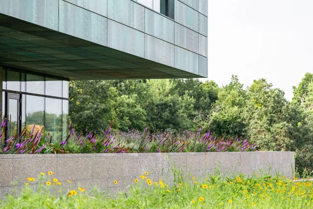 We are pleased to feature Offshoots, Inc. in today&rsquo;s BSLA Opportunities spotlight. Offshoots is a landscape architecture, research, and horticultural installation studio in Boston. They specialize in the design of sustainable plant communities 