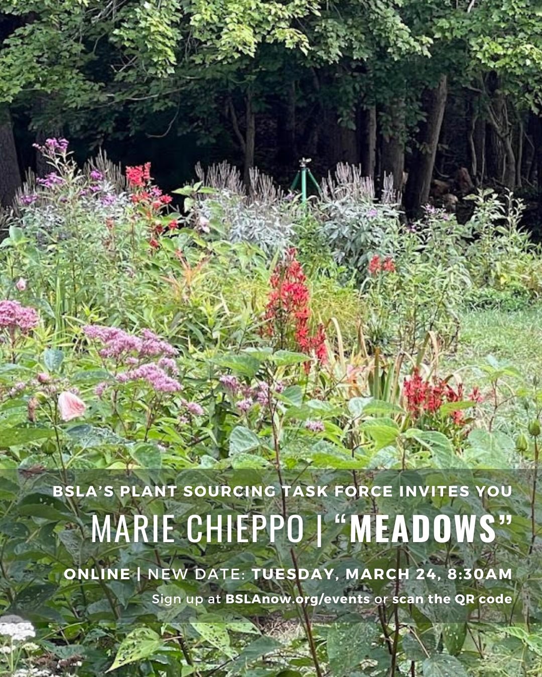 Happy first day of spring! If the seasonal shift makes you dream of flower filled meadows, join us for the next BSLA Plant Sourcing Task Force conversation, featuring a talk by ecological designer Marie Chieppo. Tuesday, March 24 8:30 - 9:30am via Zo