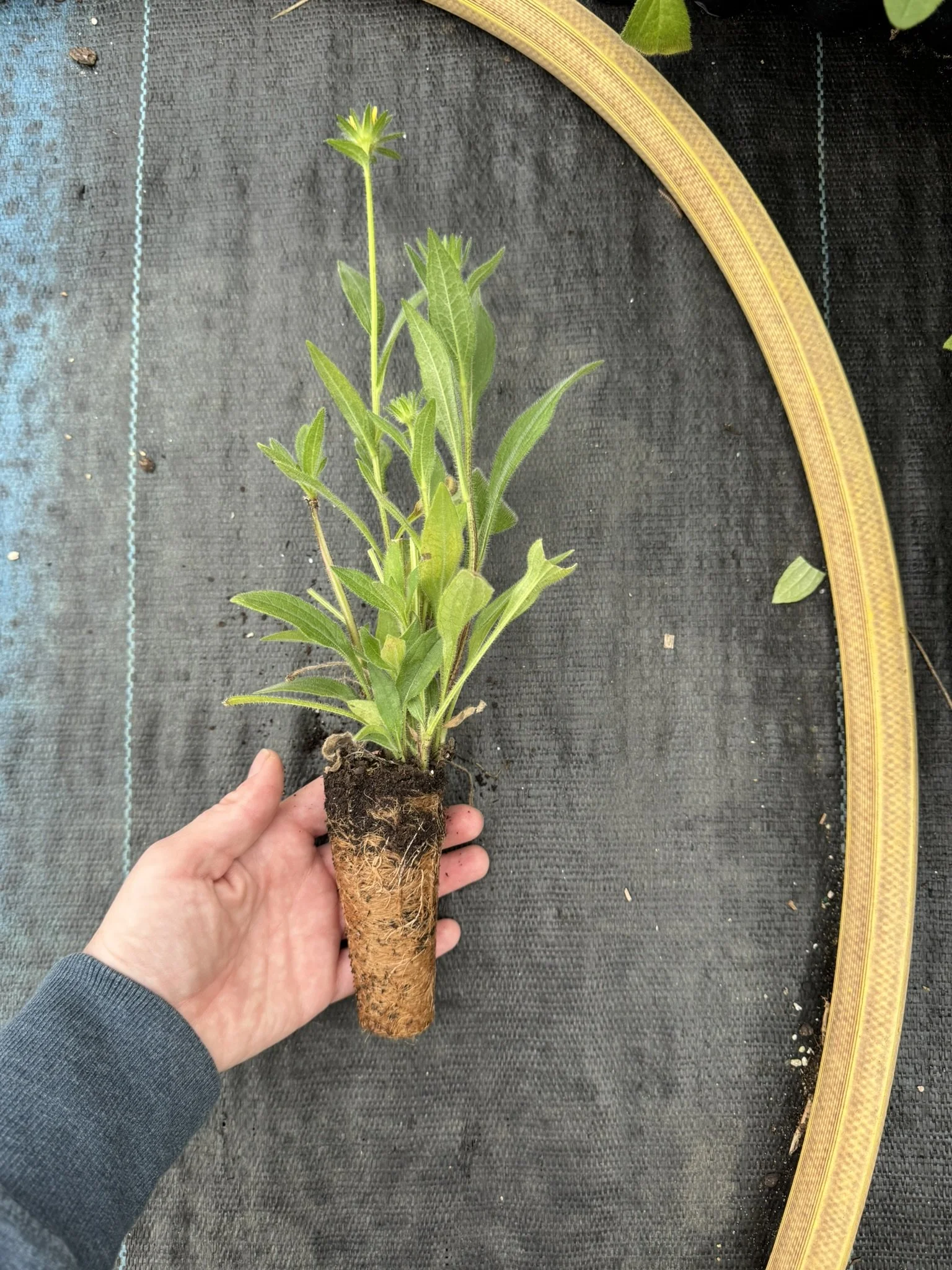 “Solopreneur” Meet Up 