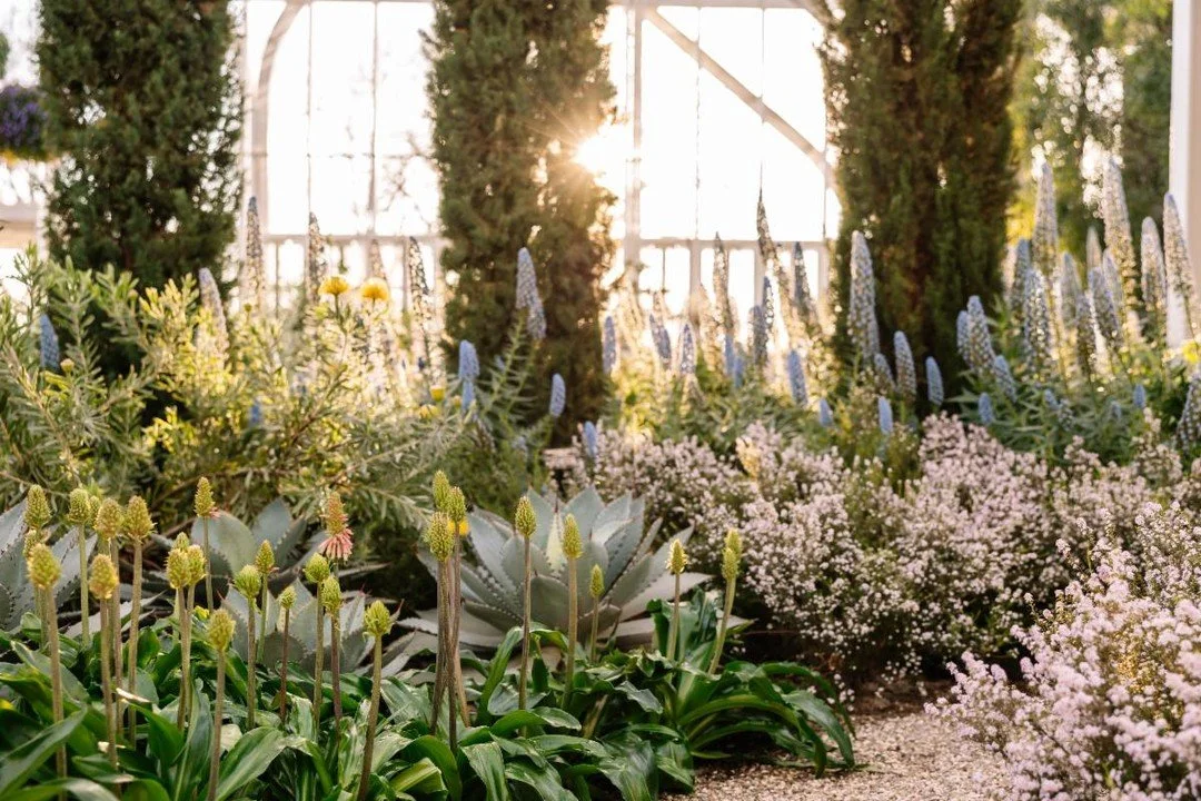 We are pleased to feature Reed Hilderbrand in today&rsquo;s BSLA Opportunities spotlight.... 

They currently seek landscape designers with 3+ years of experience to join their Cambridge office at the Senior Designer level. Project opportunities span