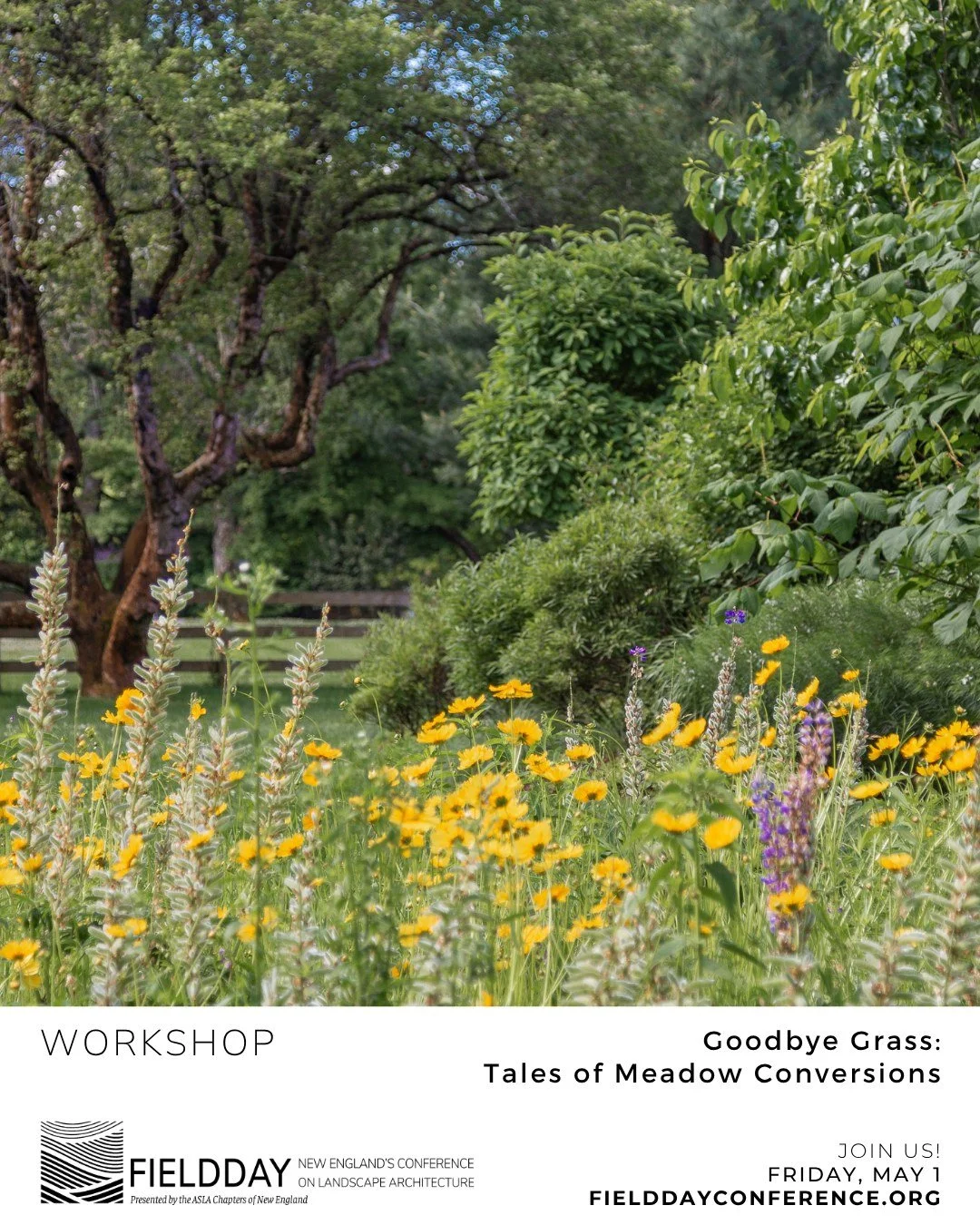 We're looking forward to hearing Kate Kennen, Rebecca Kagle, and Ryan Corrigan discuss "Goodbye Grass: Tales of Meadow Conversions" at Fieldday 2026! This is one of 16 amazing workshops that will take place throughout the day. Join us! Fiel