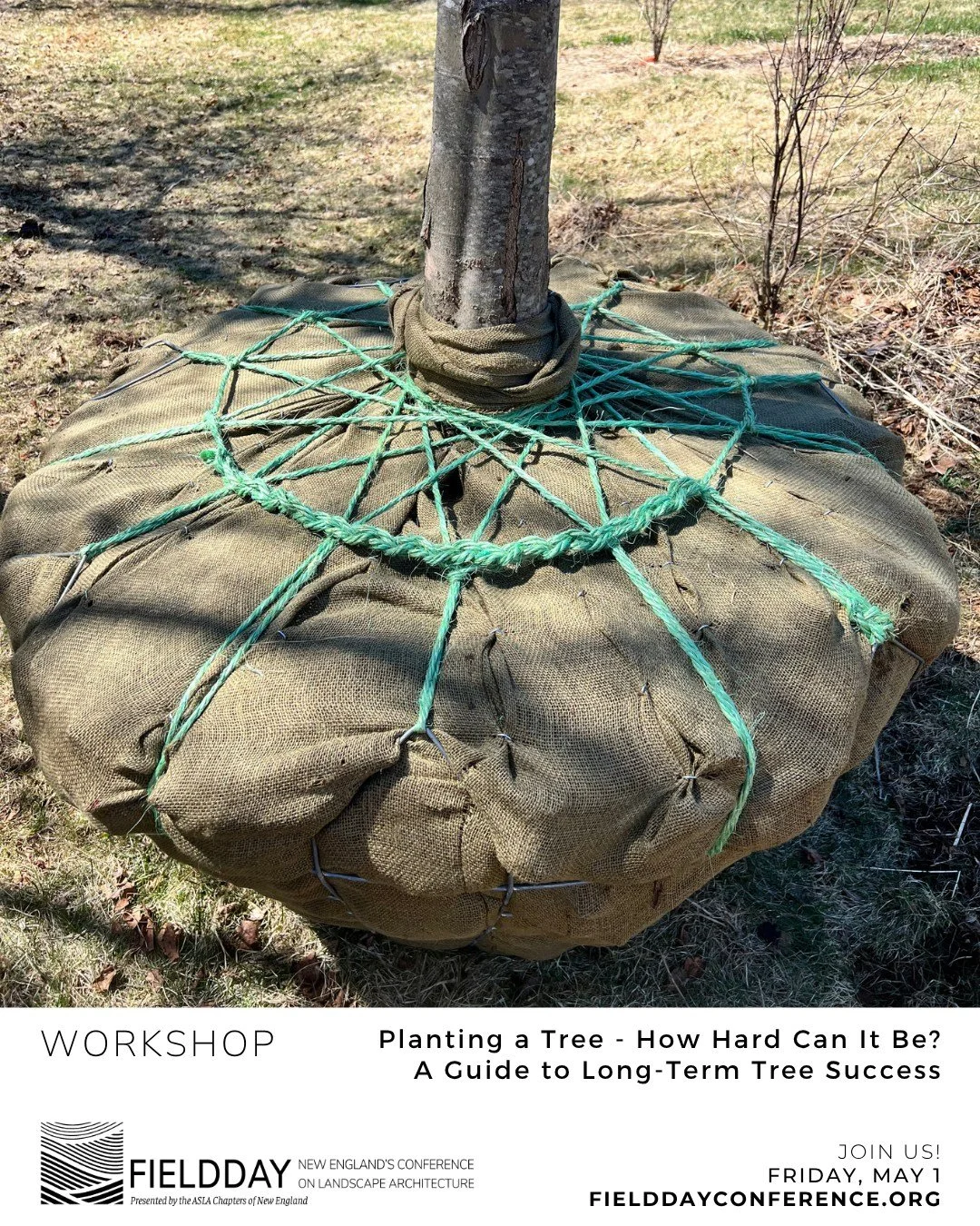 We're looking forward to hearing Christopher Miczek, Leland Wheeler, Arlene Murphy, and Stephen Schneider discuss "Planting a Tree - How Hard Can It Be? A Guide to Long-Term Tree Success" at Fieldday 2026! 

This is one of 16 amazing worksh