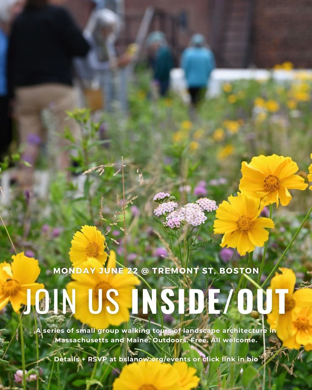 Join us outside! 

Our 2026 series continues at a landmark green roof overlooking Boston Common... 

Inside/Out | Rooftops as Resilience 
Monday, June 22 
10am - noon 

🌿Direct link to register: https://insideout_rooftopsasresilience.eventbrite.com 