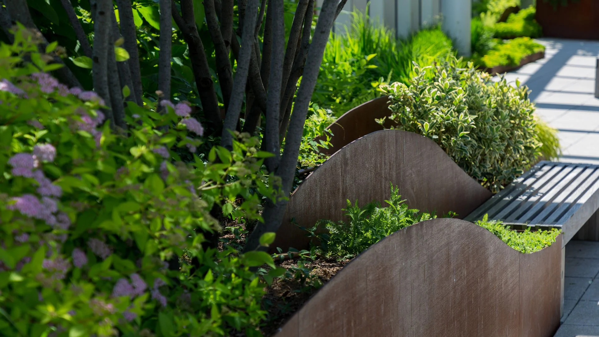 Landscape Designer