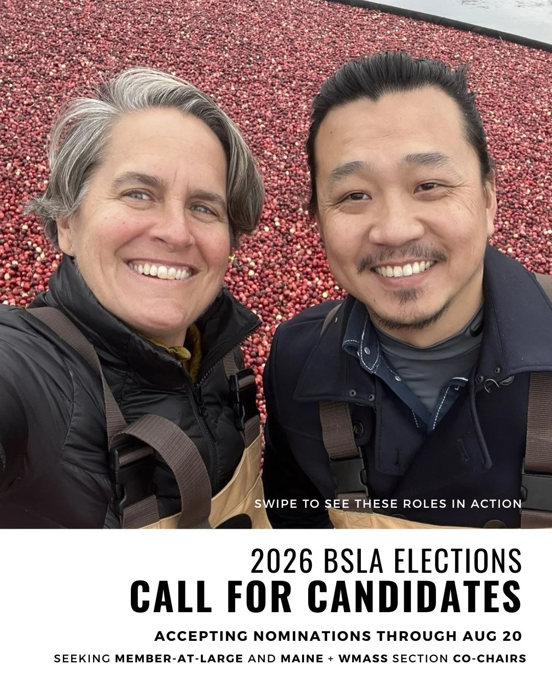 BSLA ExComm nominations now open...

One officer position is up for election this year: Member at Large. We also seek nominations for a Western Mass Section Co-Chair and Maine Section Co-Chair. 

The Member-at-Large position is an Executive Committee