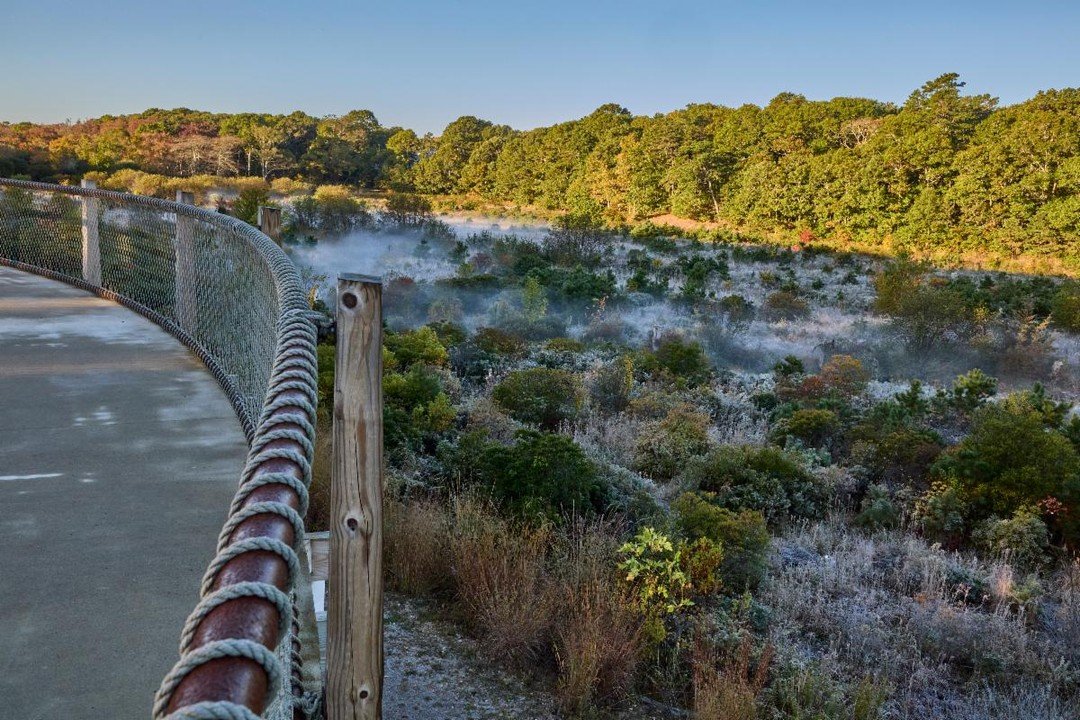 Congratulations to STIMSON on your 2026 BSLA Honor Award in General Design for "COONAMESSETT Gateway to a Living River"! 

Swipe to see a brief slideshow... 

The jury noted: 

"The project presents a compelling model for ecological re