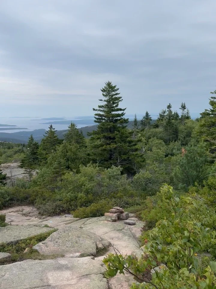 How awesome that this is in our chapter. Thank you to the NPS designers, builders, stewards, &amp; staff who make Acadia accessible to so many. The incredible stone work- steps, curbs, markers - that subtly, significantly guide water &amp; people. Co