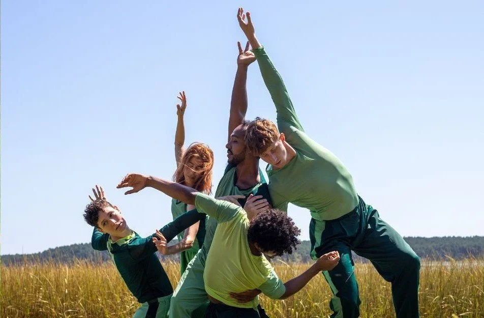 Boston Dance Theater: Unfurling