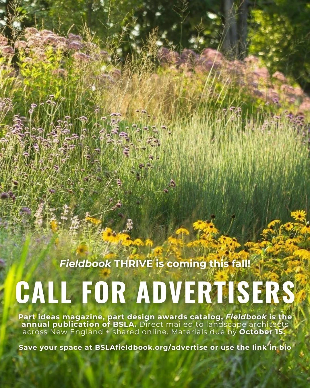 What helps landscapes -- and communities -- THRIVE? 

Landscape architecture comes to life thanks to growers, makers, suppliers, builders, and collaborators. 

Your expertise is part of the story. 

We invite you to advertise in THRIVE, the next issu