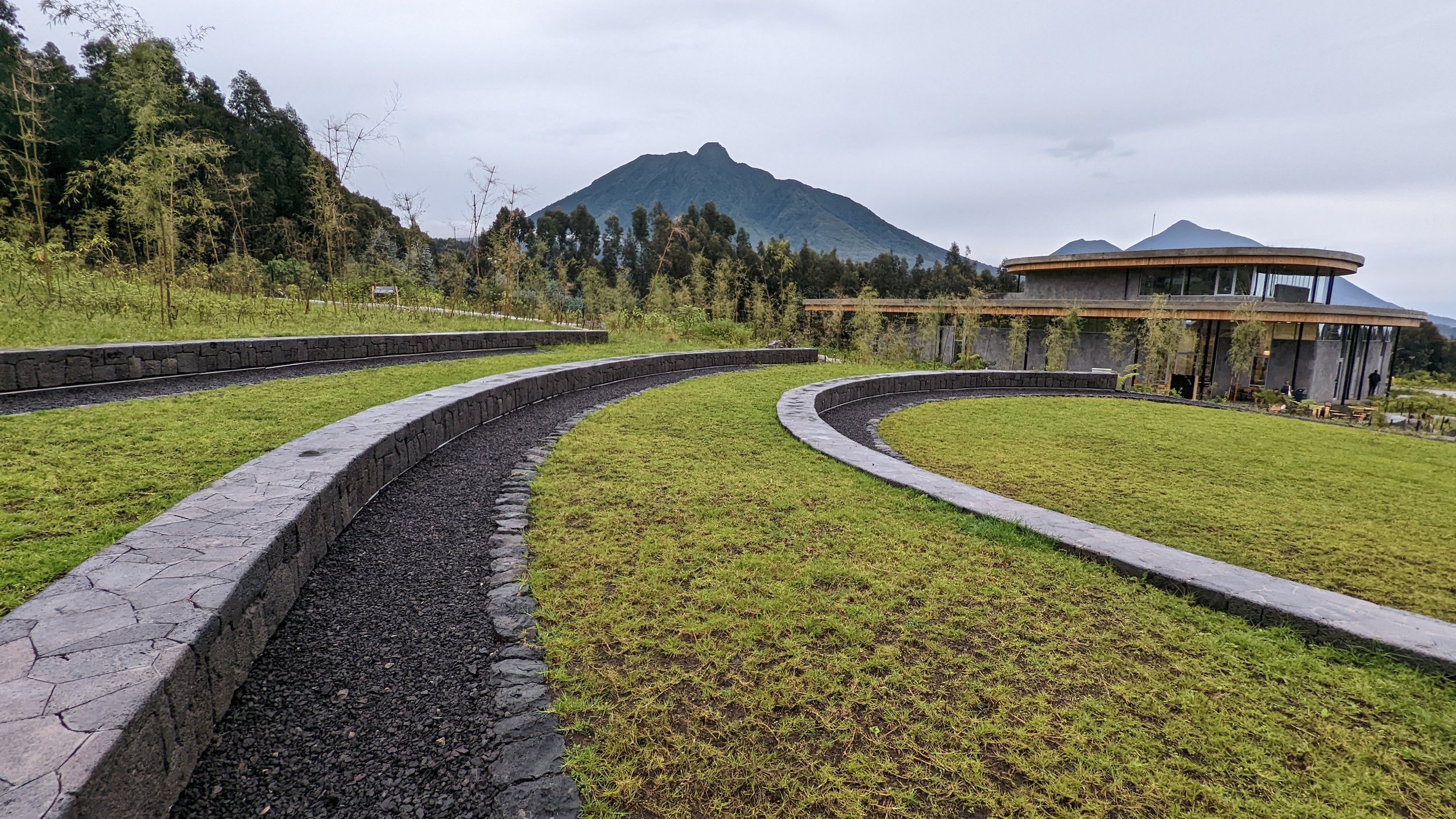 Ellen DeGeneres Campus Dian Fossey Gorilla Fund · photograph 1