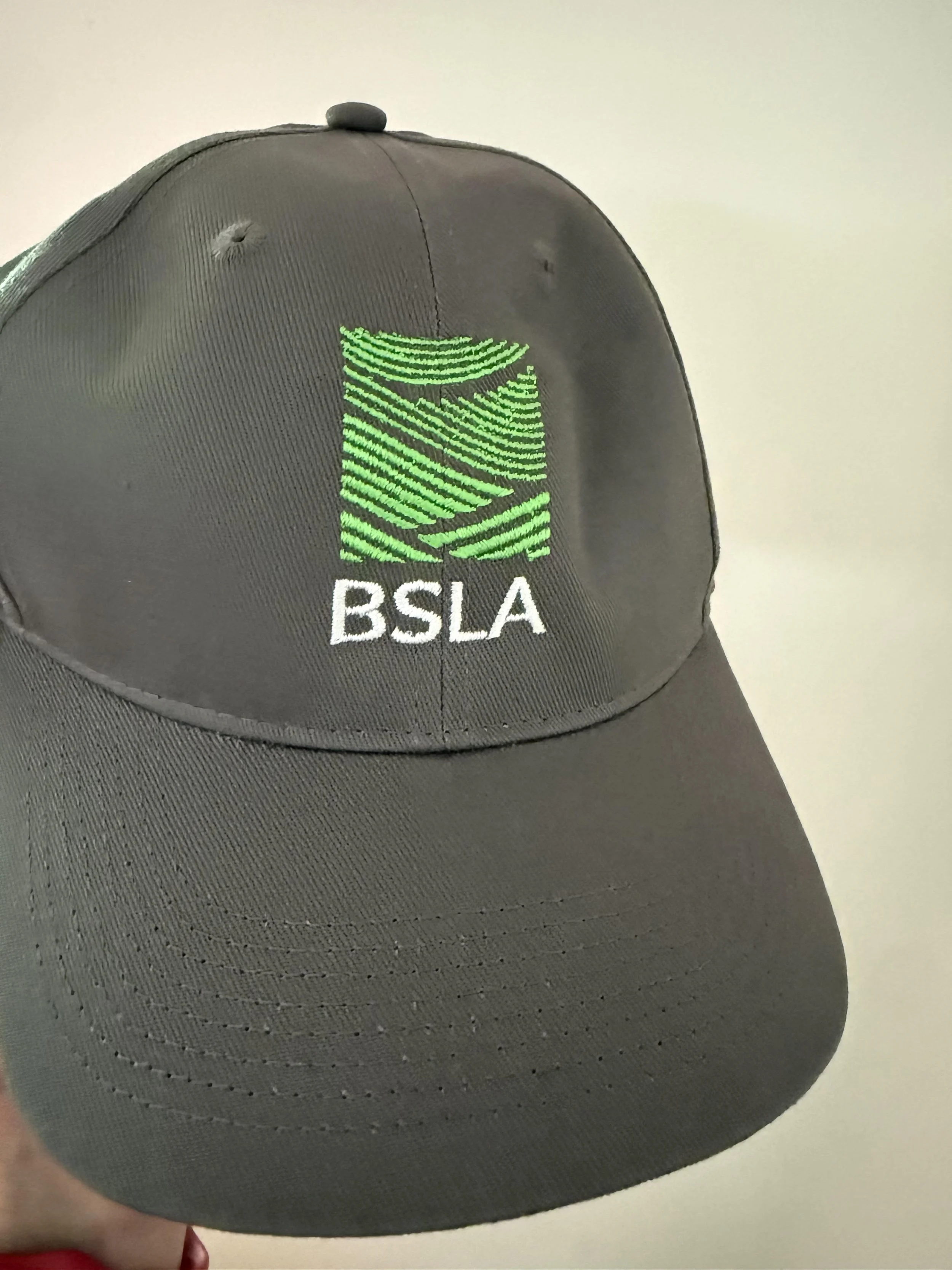 logo hat on graphite.jpg