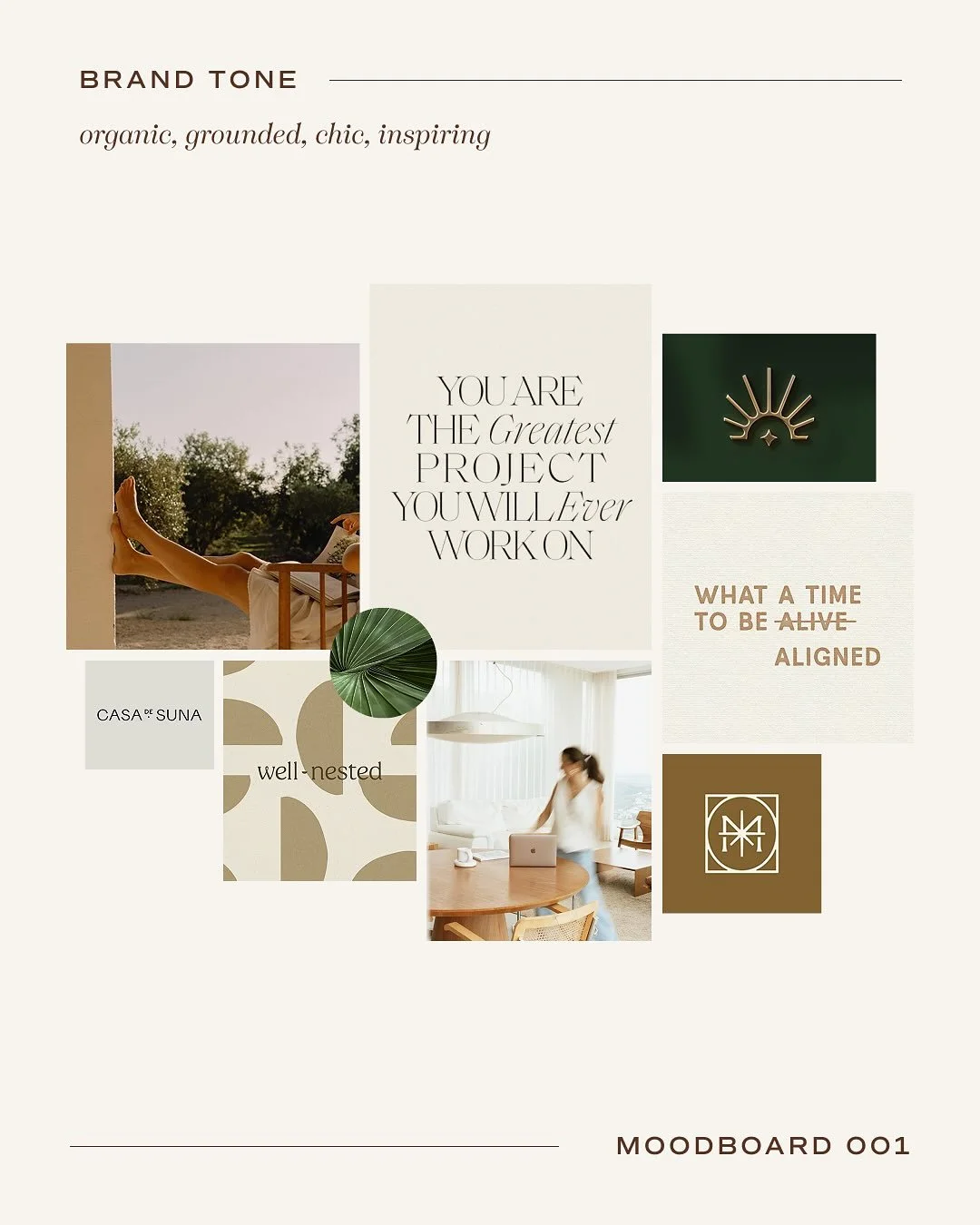 What is a moodboard &mdash; and how do I use them?⁠
⁠
Think of a moodboard as the visual research phase of your brand. It&rsquo;s where strategy starts to take shape through color, texture, typography, and tone &mdash; long before a logo ever exists.