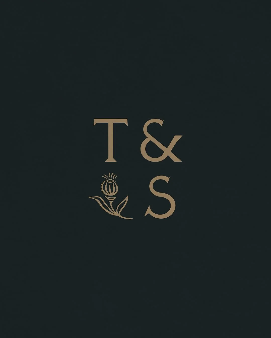 A few logo snippets that weren&rsquo;t chosen but deserve their 15 seconds of feed fame ✨