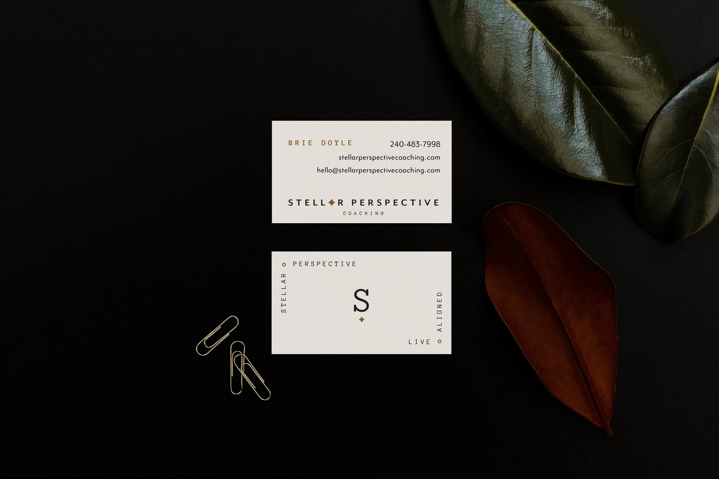 Stellar Graohic design bus card.jpg